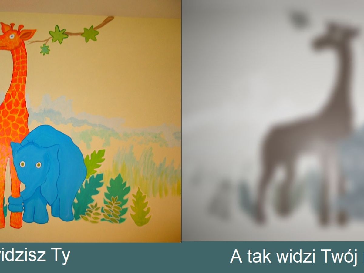 Blurred grey-scale outlines representing how a newborn sees the world