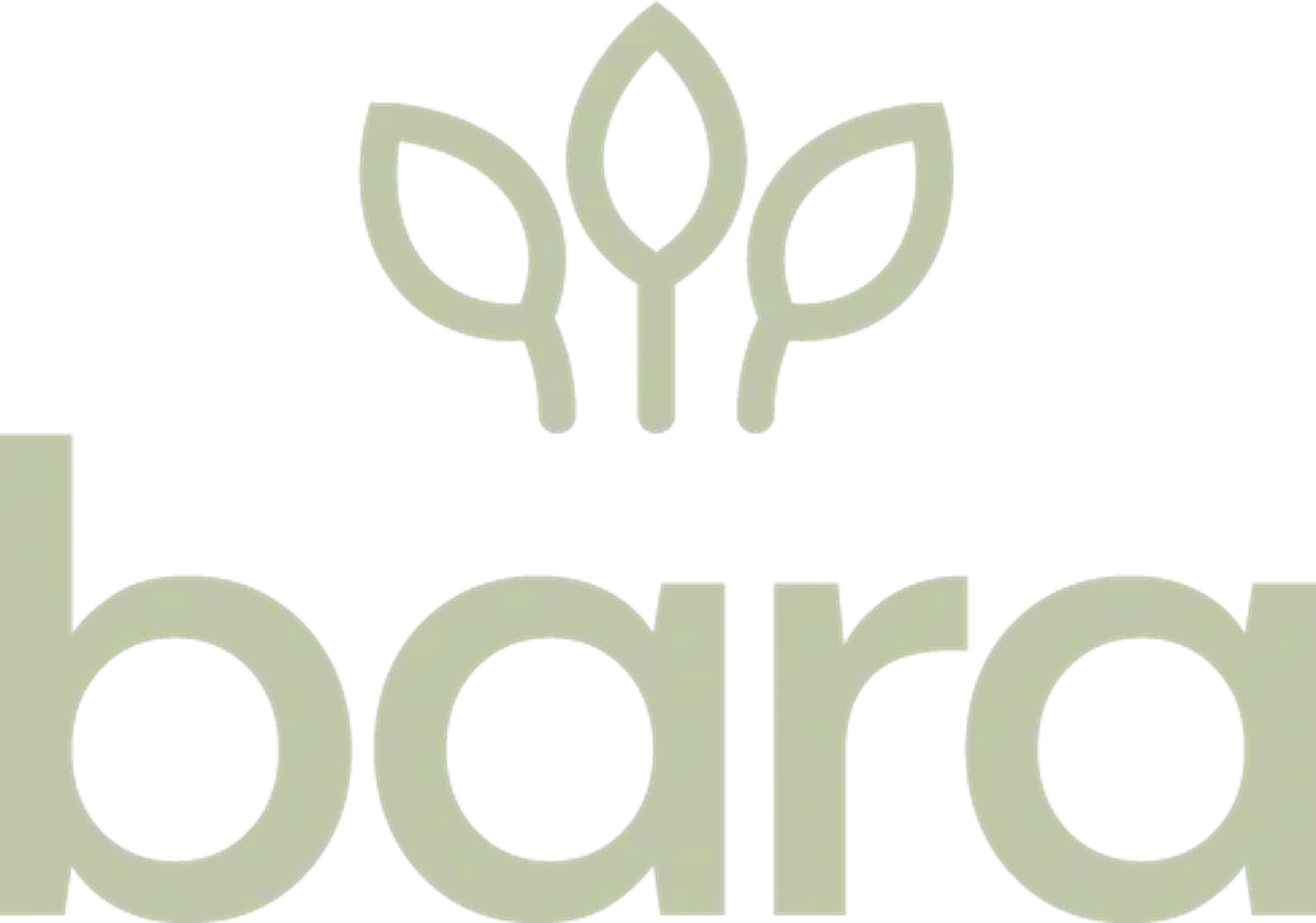 Bara Eiendom
