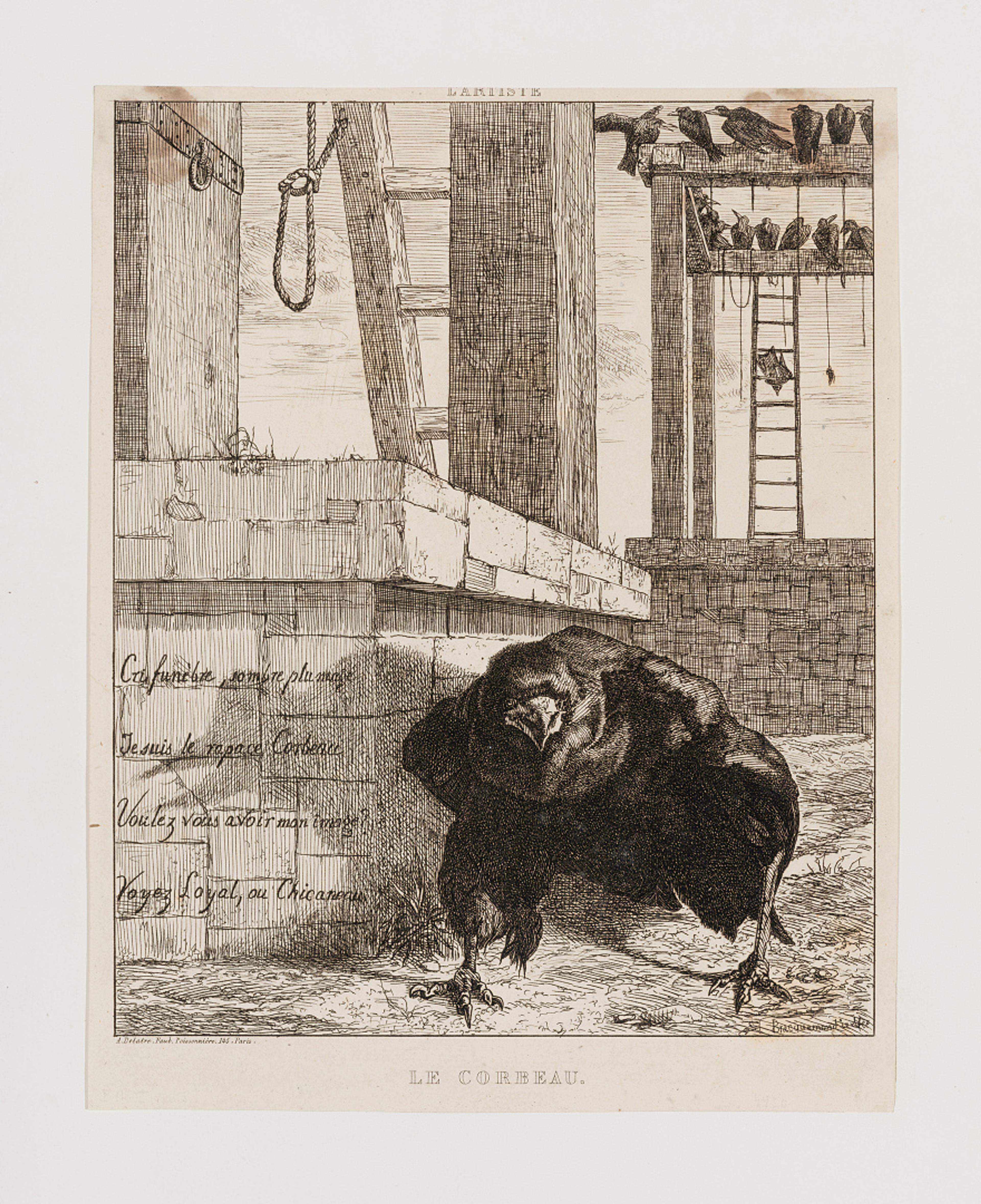 Ravnen / The Raven, udatert/undated  Felix Bracquemond (1833–1914)	 Radering / Etching  Kode 