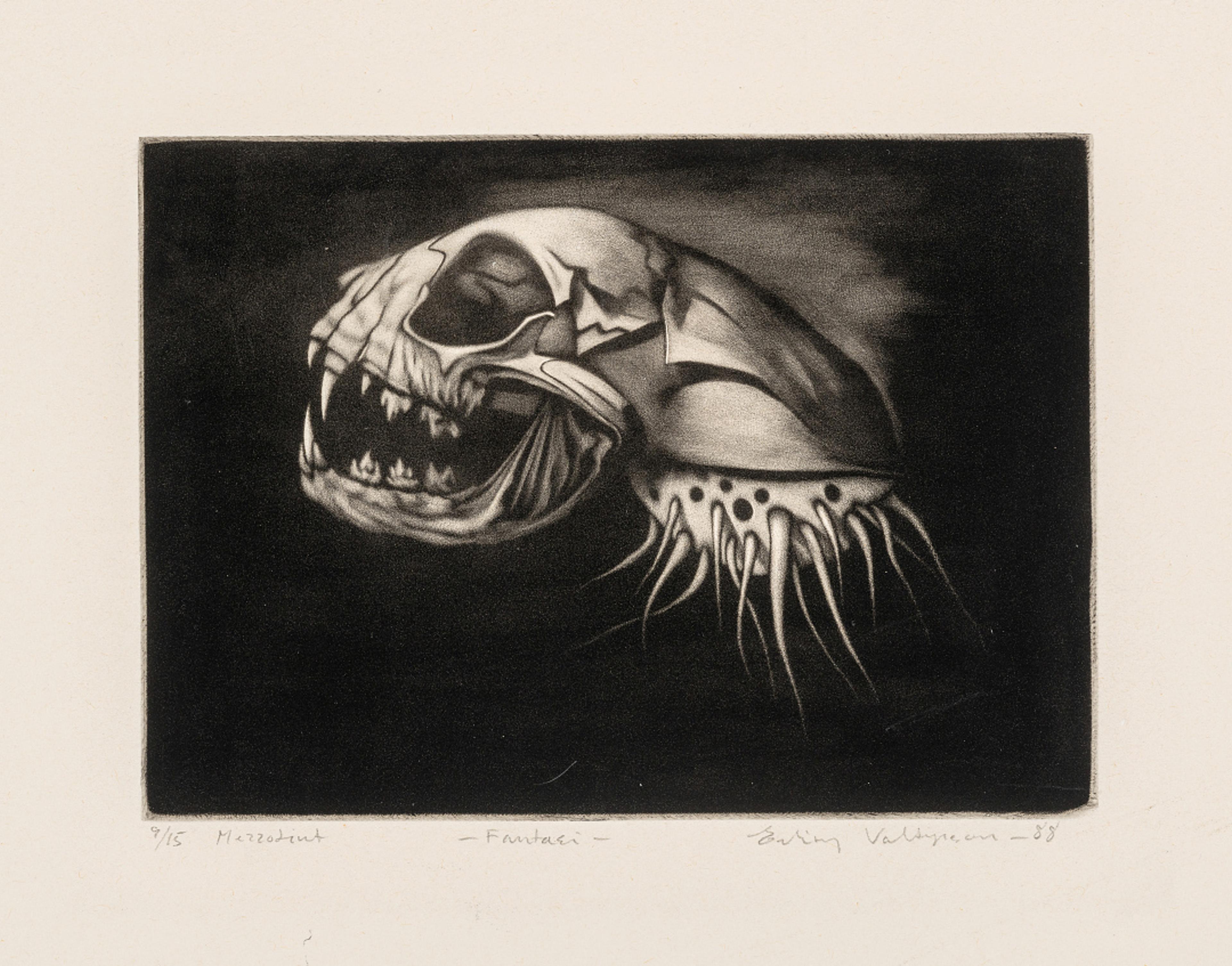 Fantasi / Fantasy (1988)  Erling Valtyrson (f. / b. 1955)	  Mezzotint på papir / Mezzotint on paper   Kode 