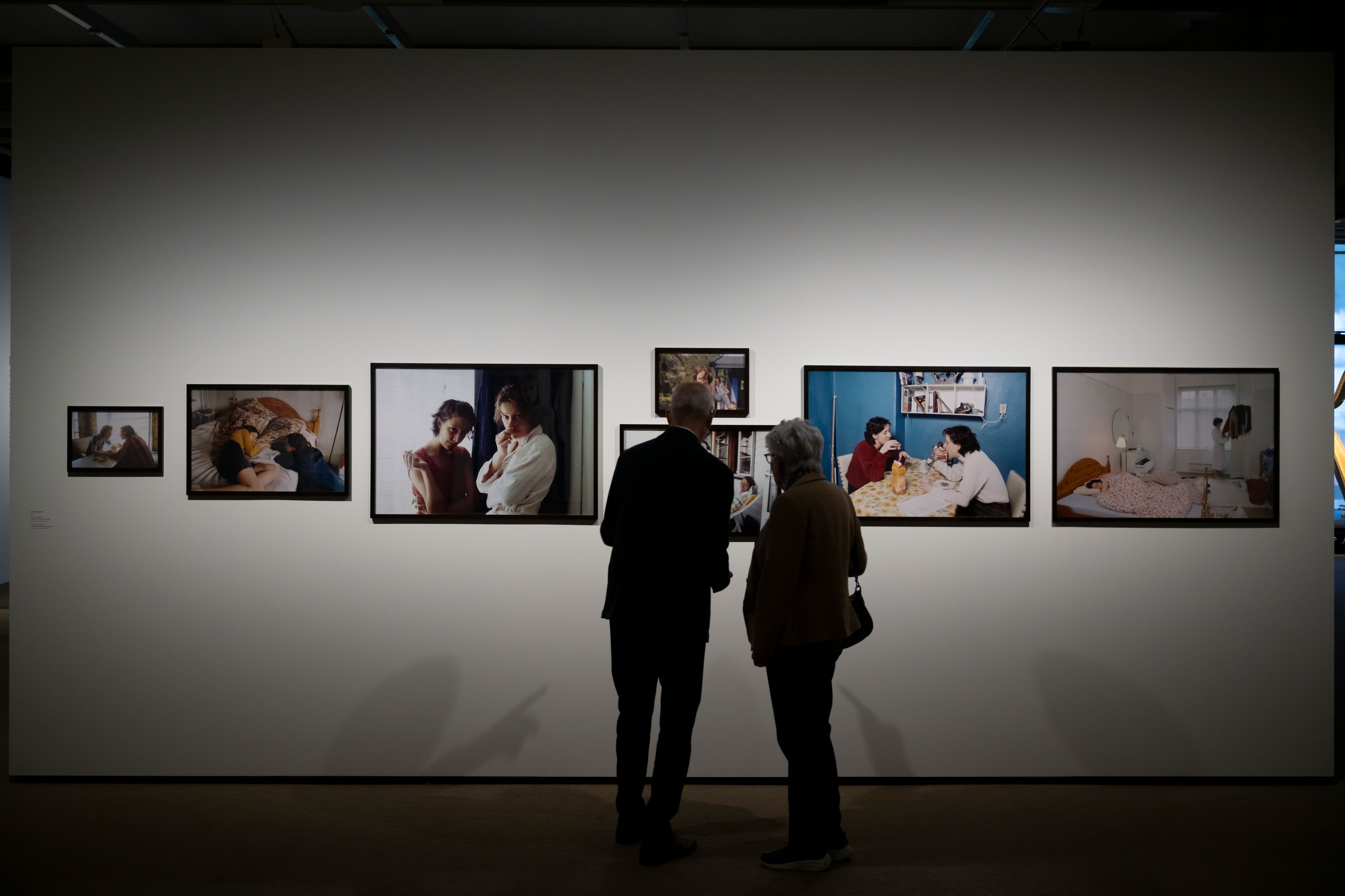 Members' Guided Tour Vibeke Tandberg