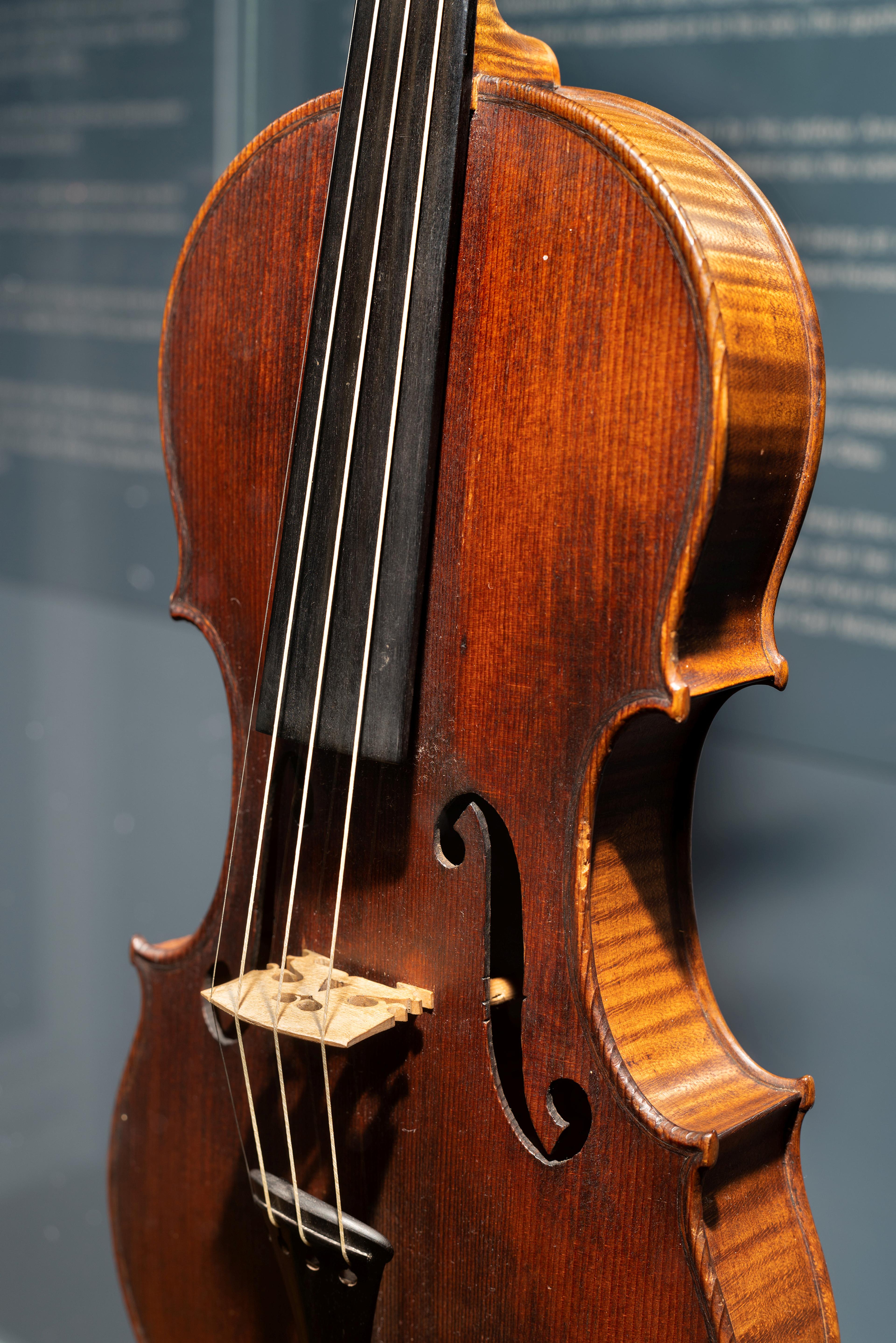 En fiolinkropp i brunt tre, avbildet inne i en monter.