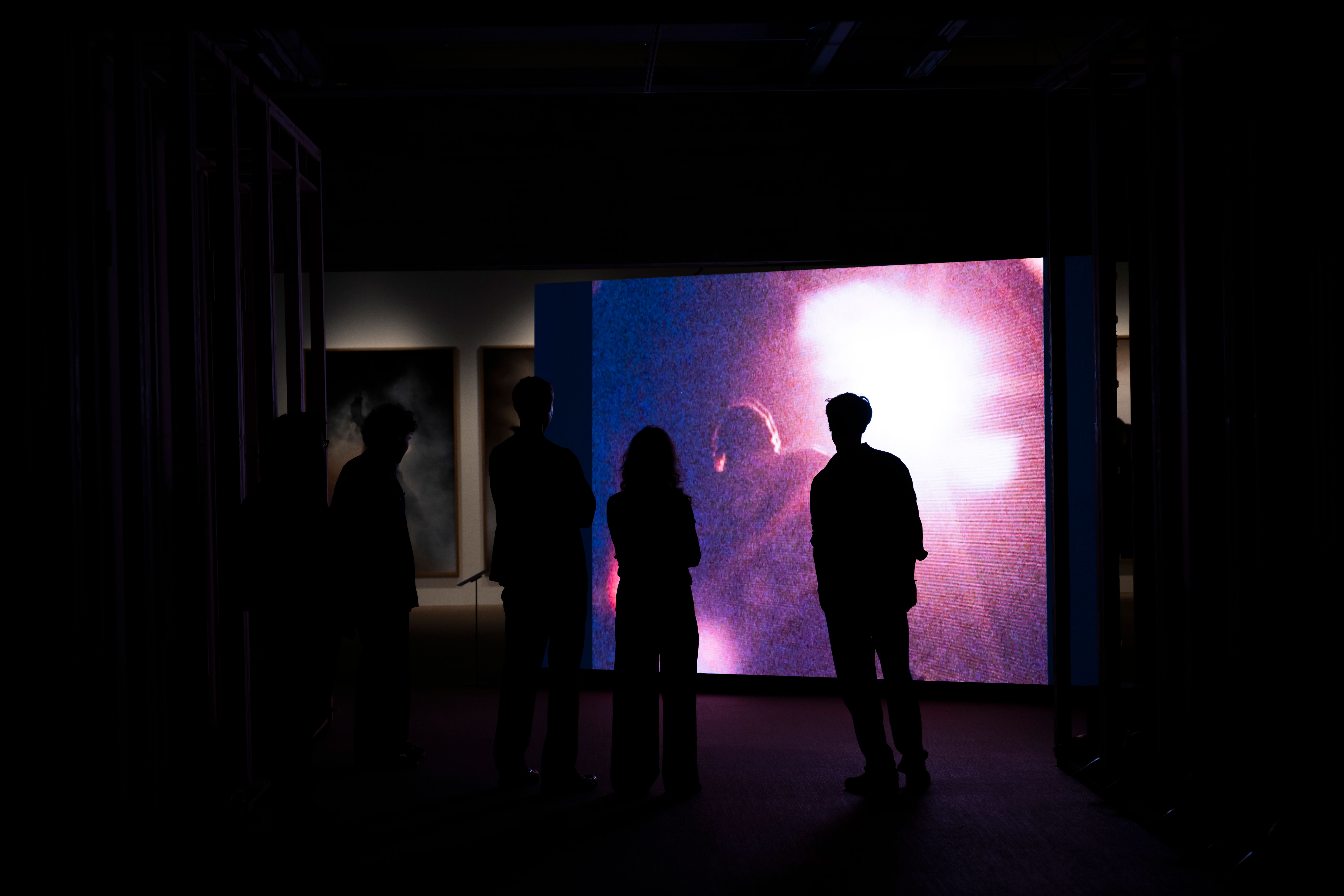 Guided tours of the Vibeke Tandberg exhibition