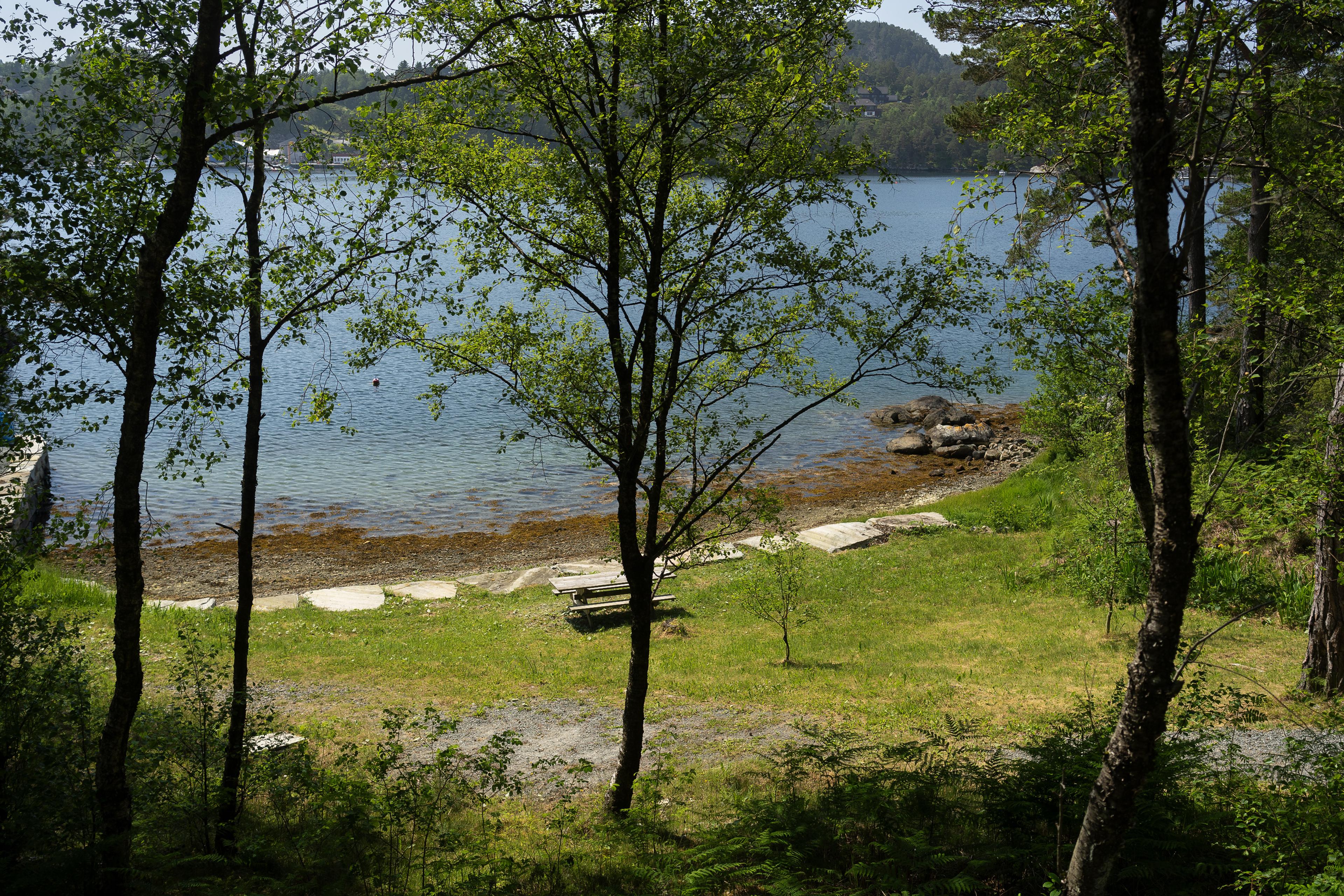 Et grønt uteområdet, med sjøen i bakgrunnen