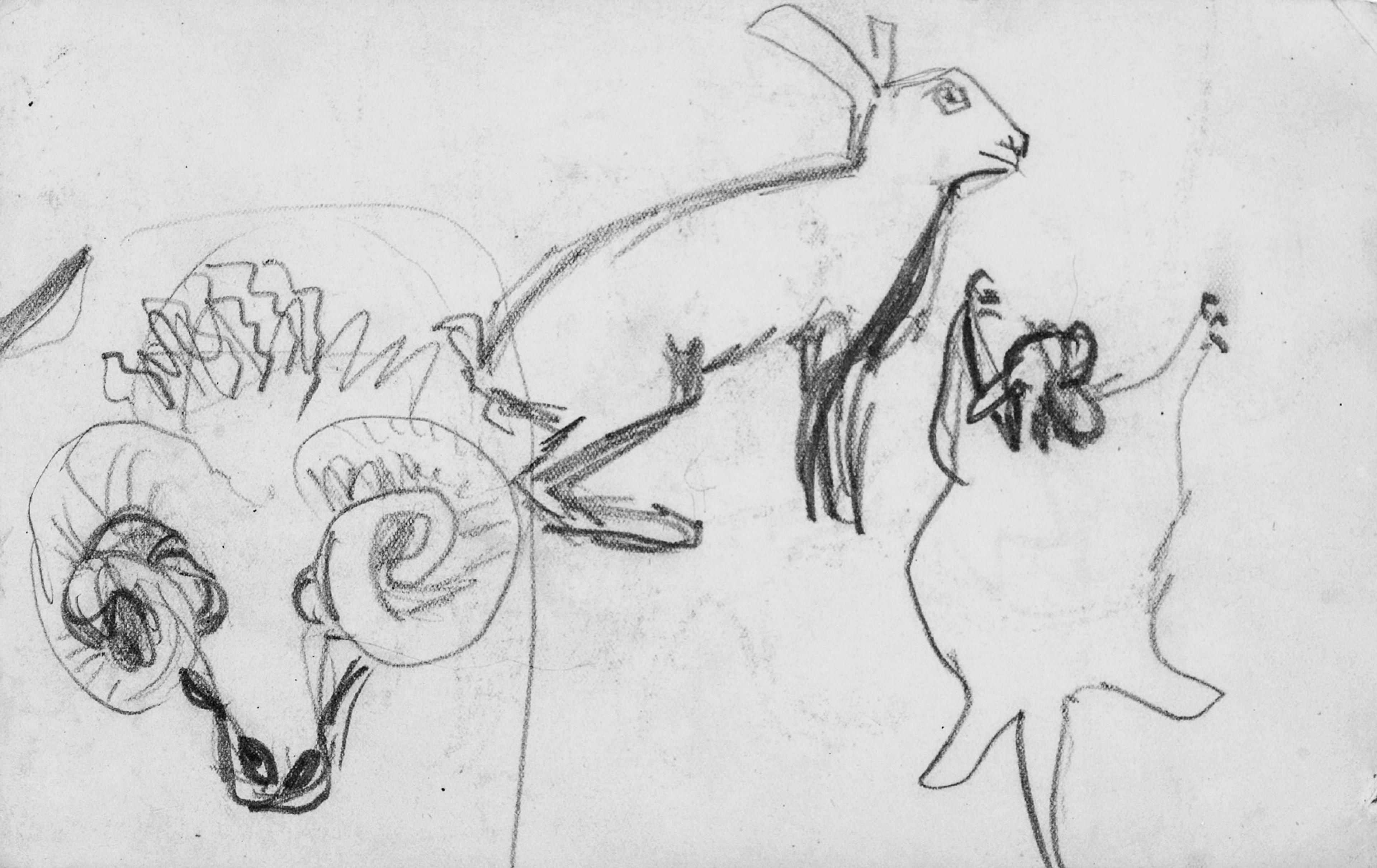 Barnetegning av en hare, steinbukk og flaggermus