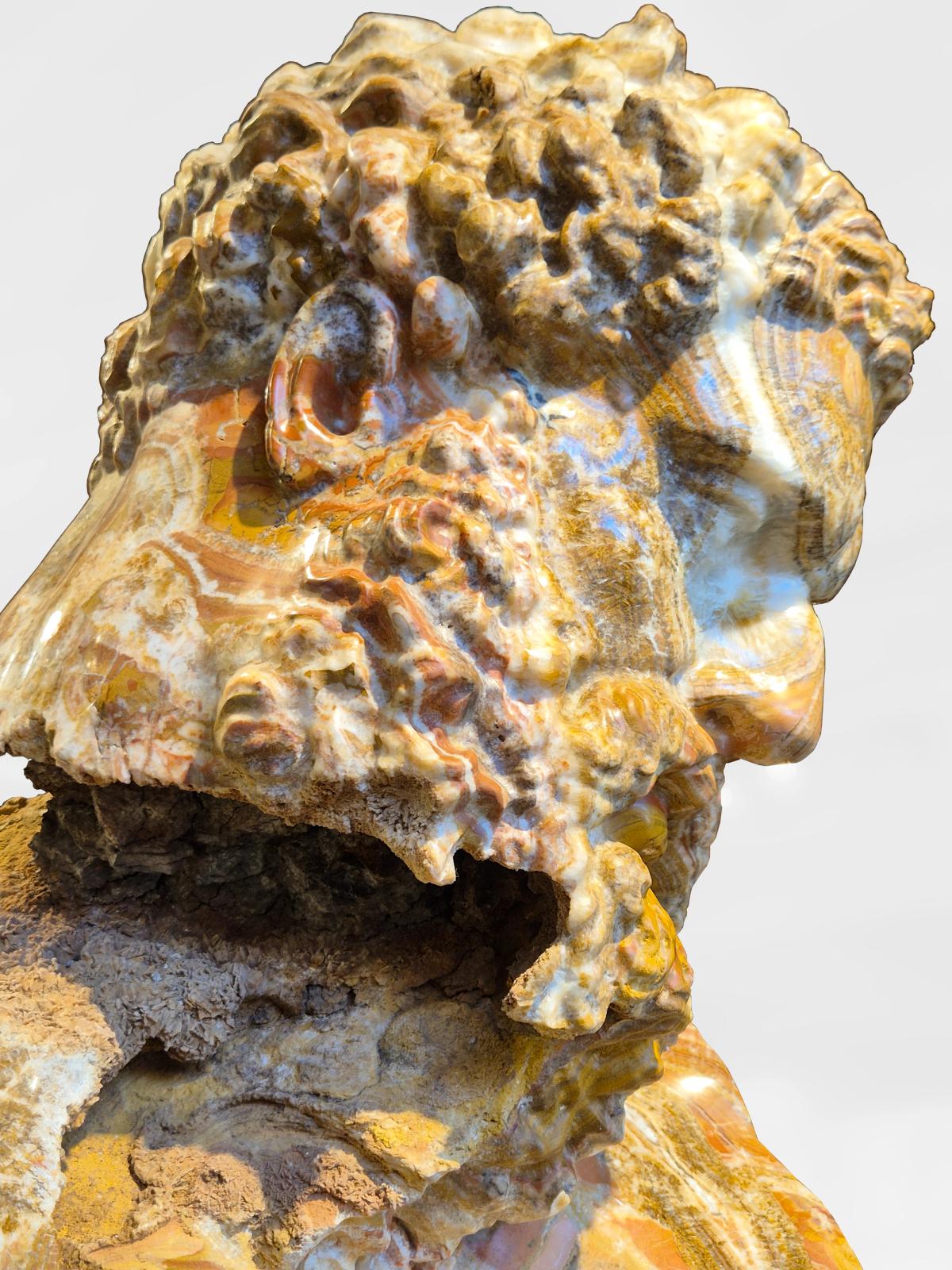 Colossus - Onyx - view 3