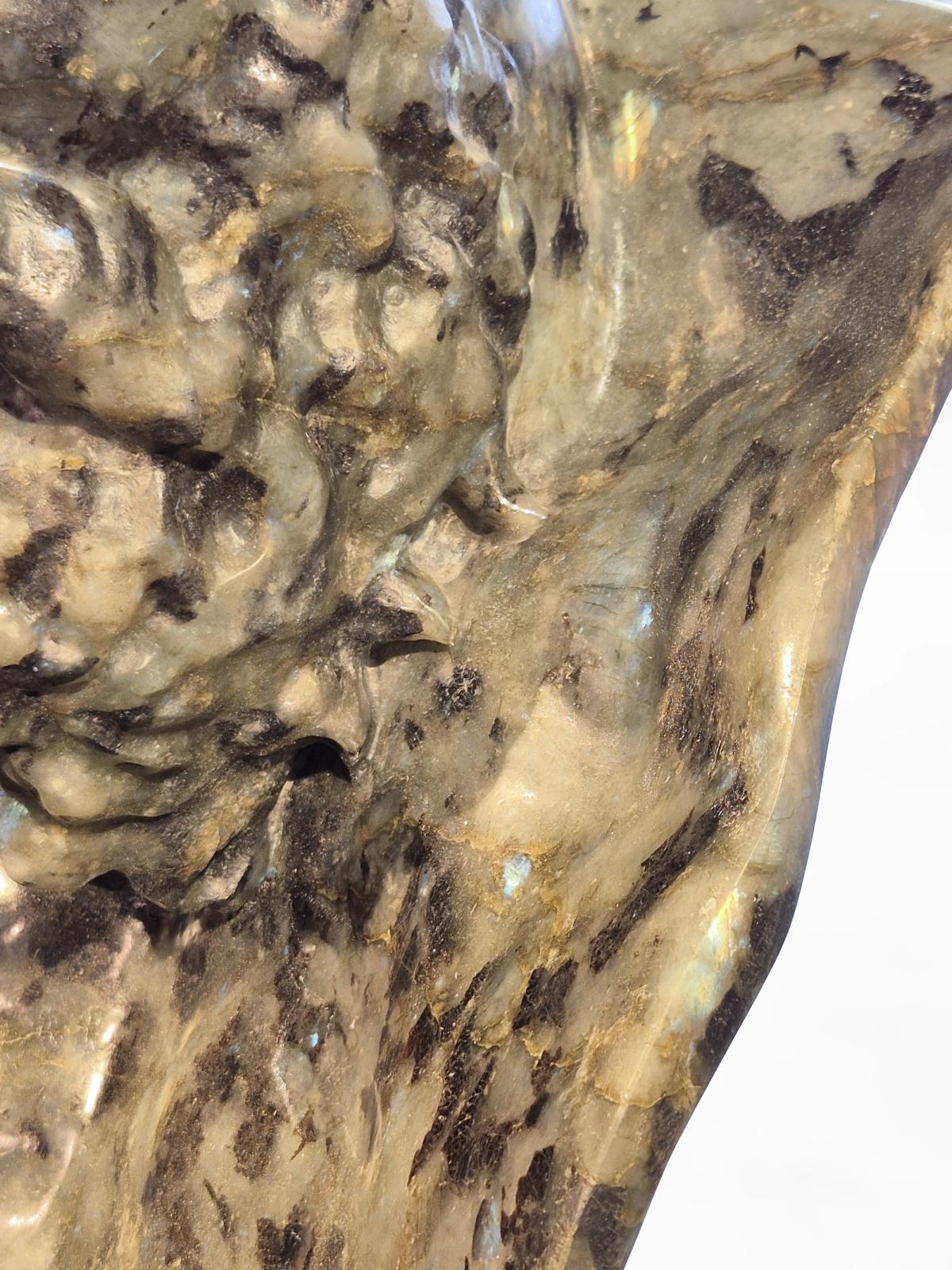 Colossus - Labradorite - view 4