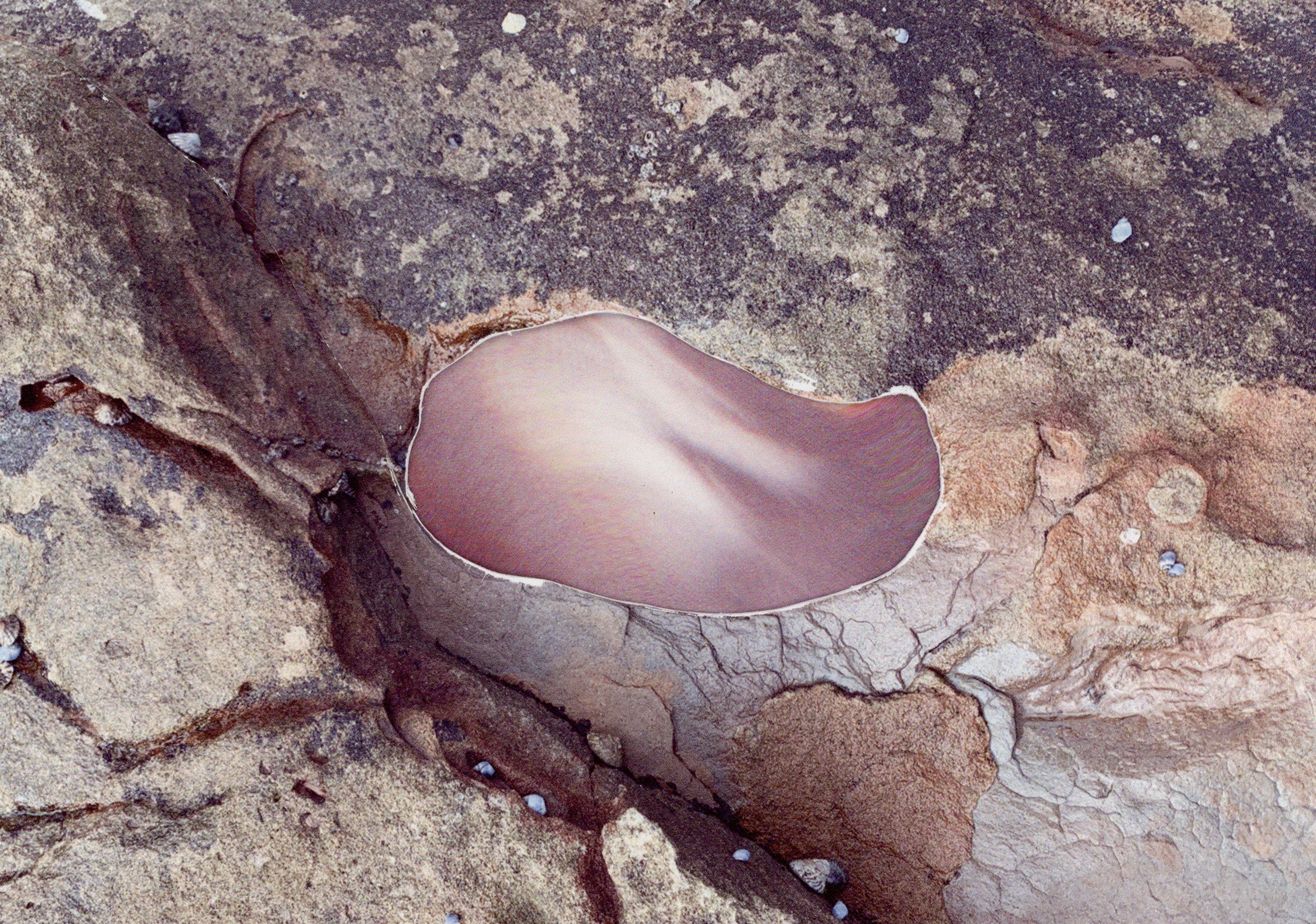 Cynthia Swanson – Rocks.