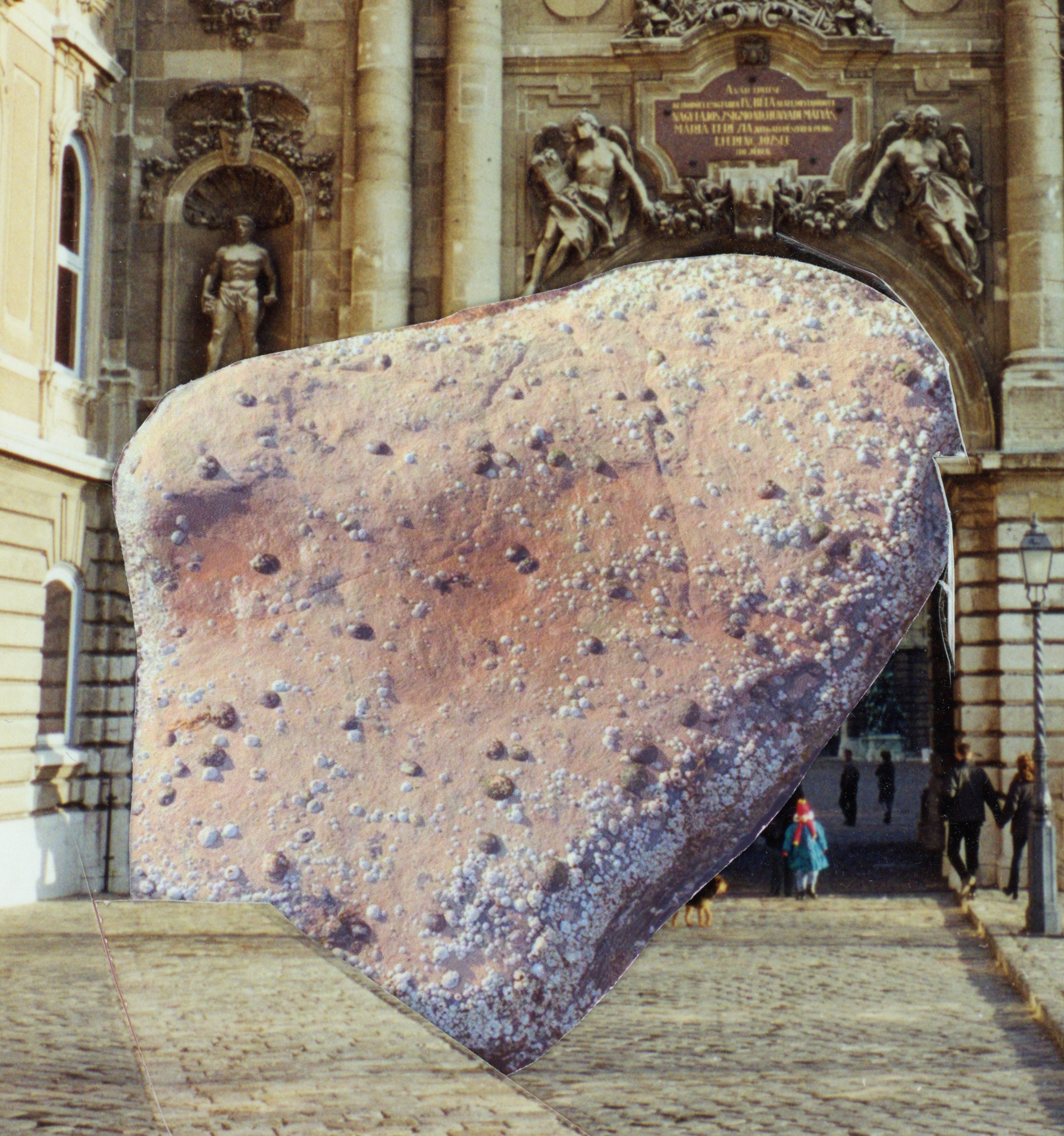 Cynthia Swanson – Rocks.