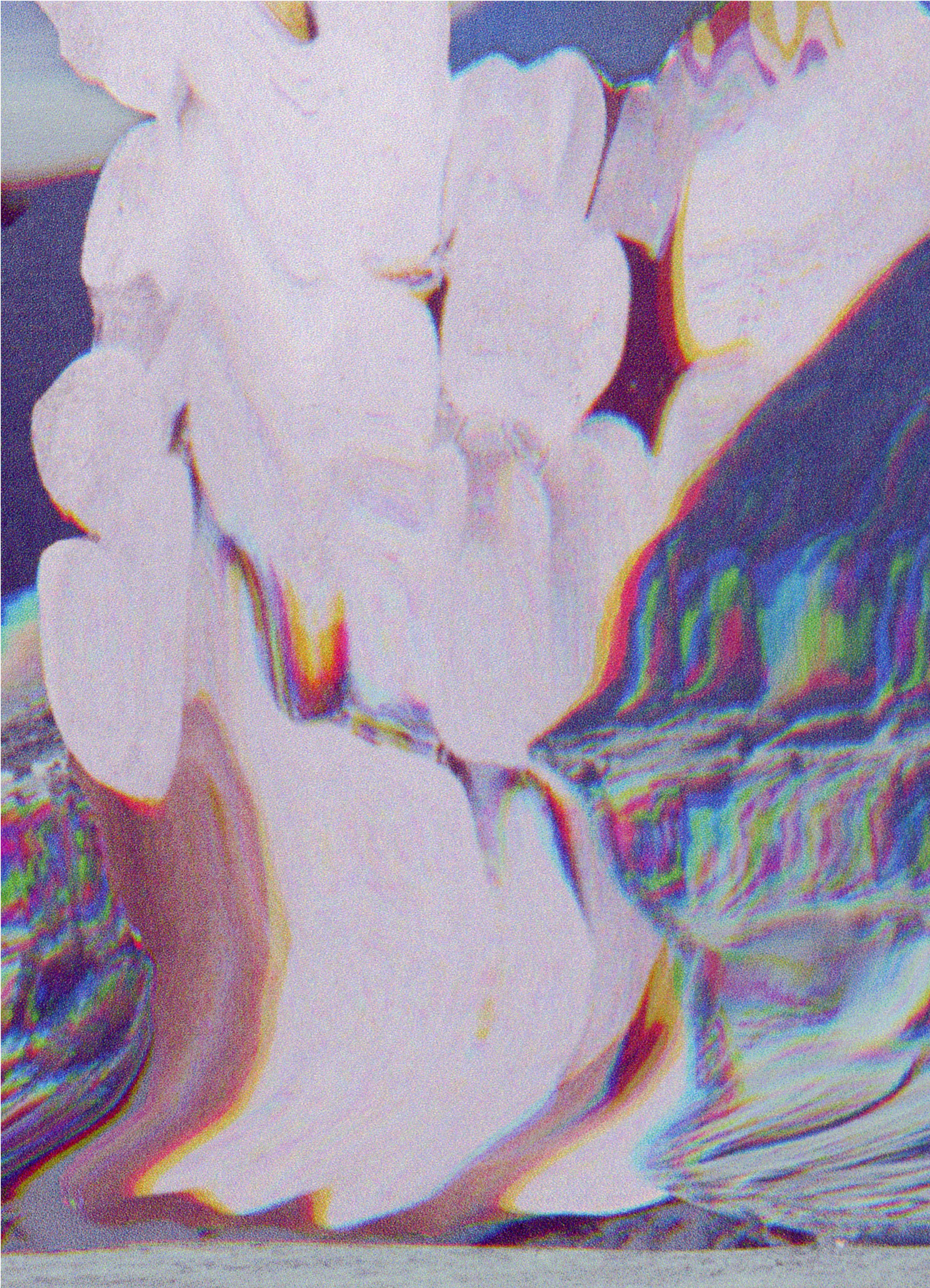 Cynthia Swanson – Y3 - Arctic