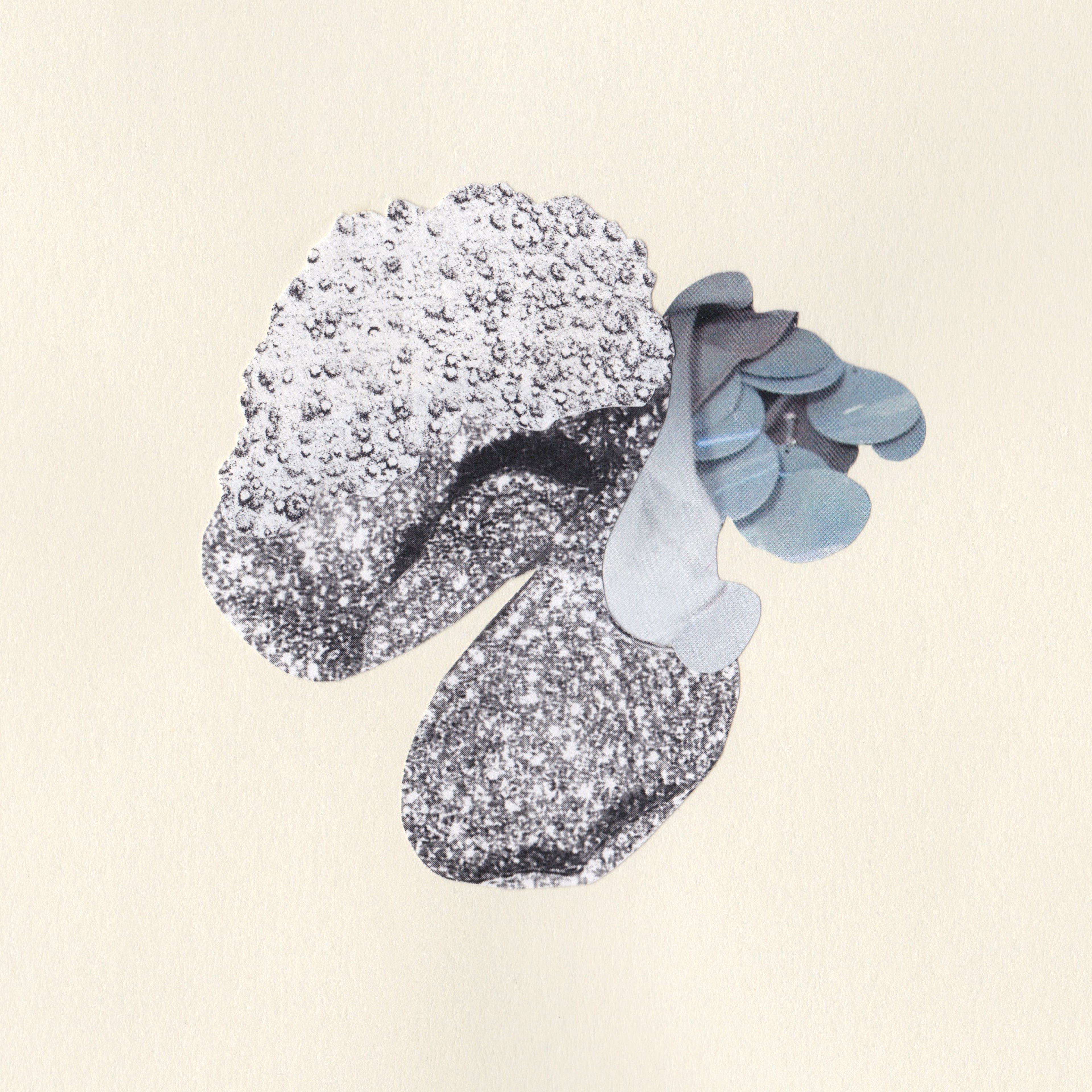 Cynthia Swanson – Amphibious