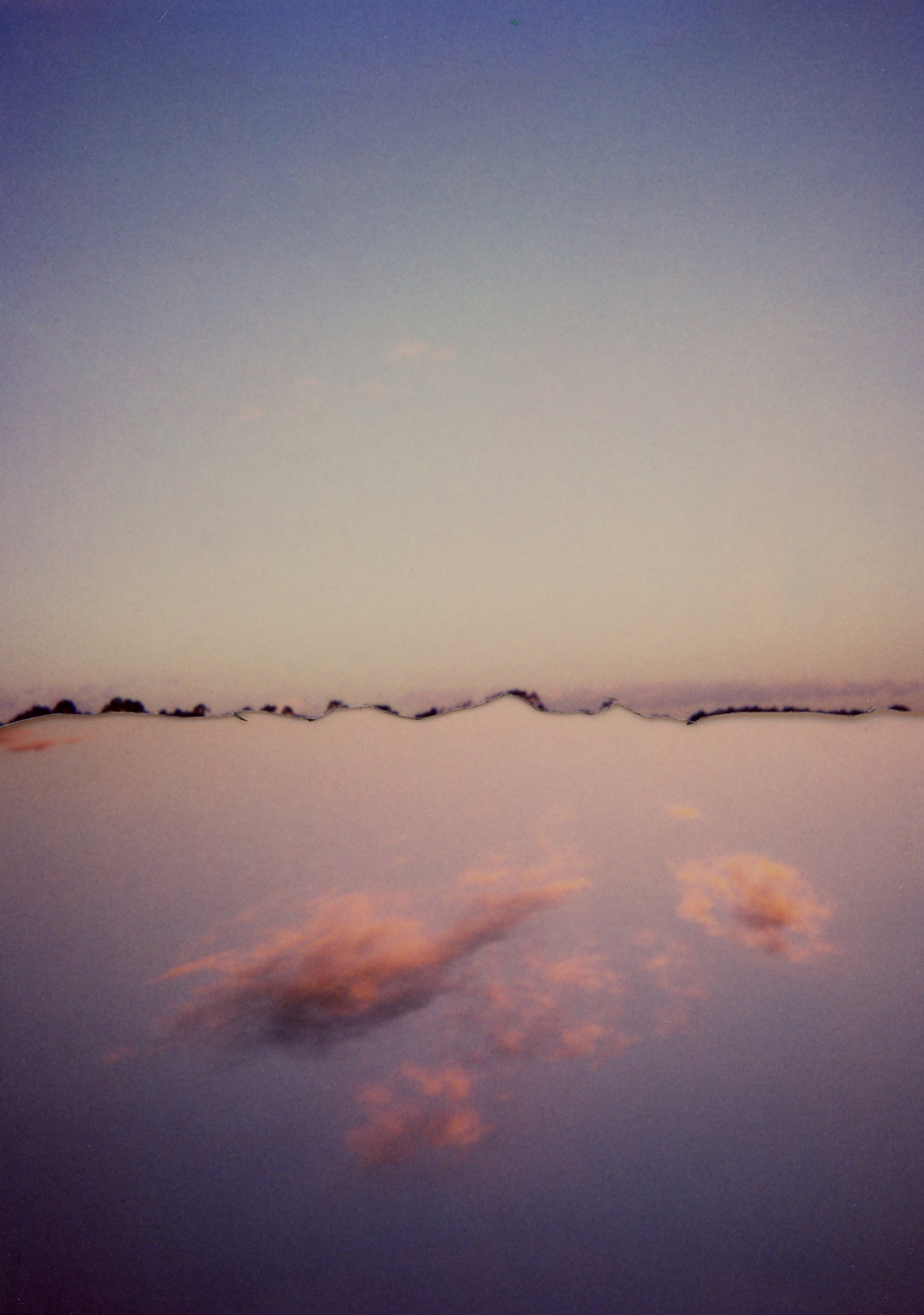 Cynthia Swanson – The Quiet.