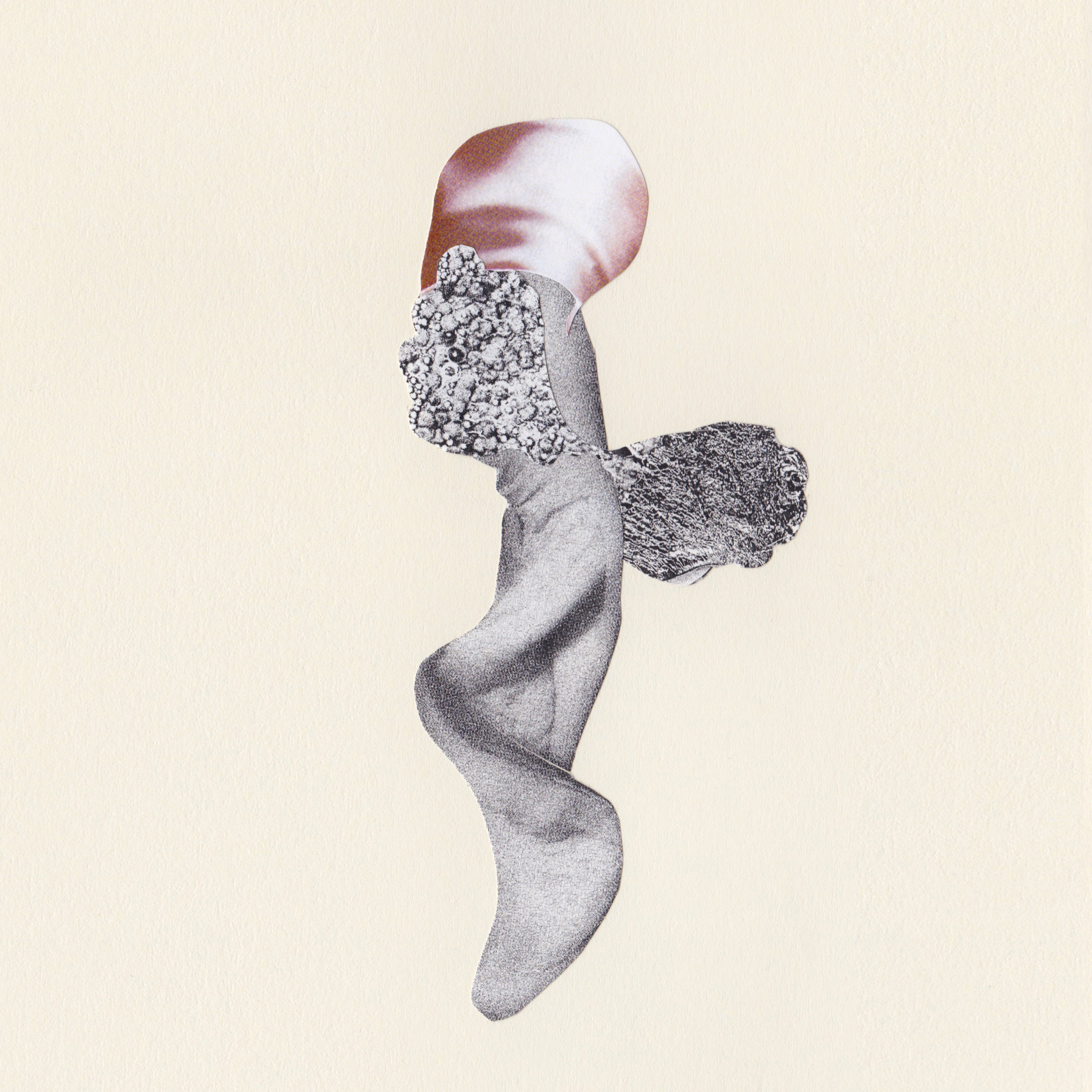Cynthia Swanson – Amphibious