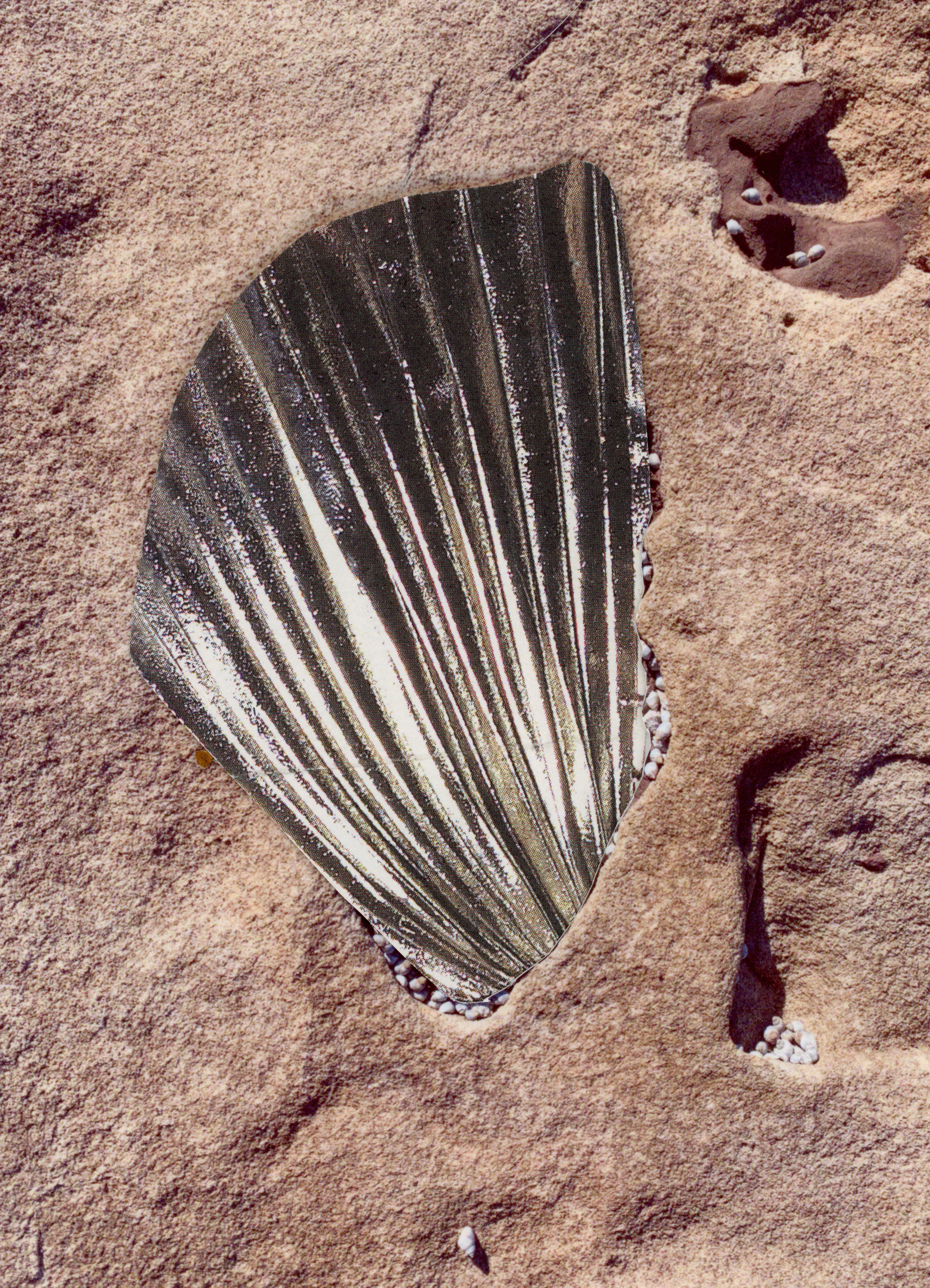 Cynthia Swanson – Rocks.