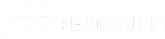 Pertamina Indonesia Logo