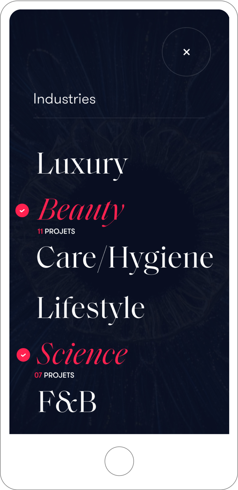 Zorba mobile has internet filters for projects