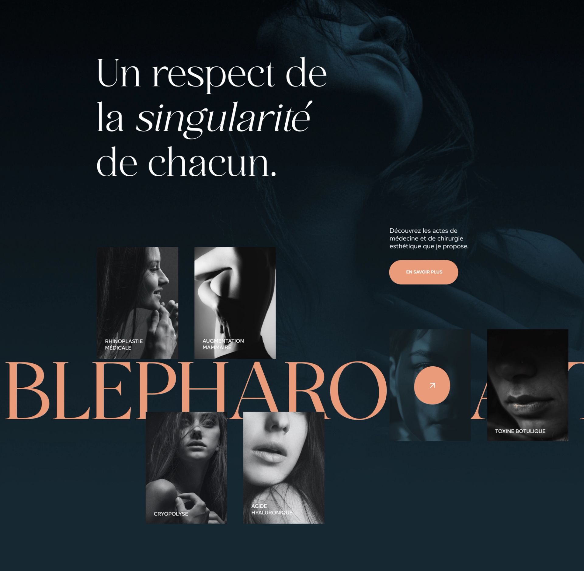 Alexandre Mertens homepage expertise section