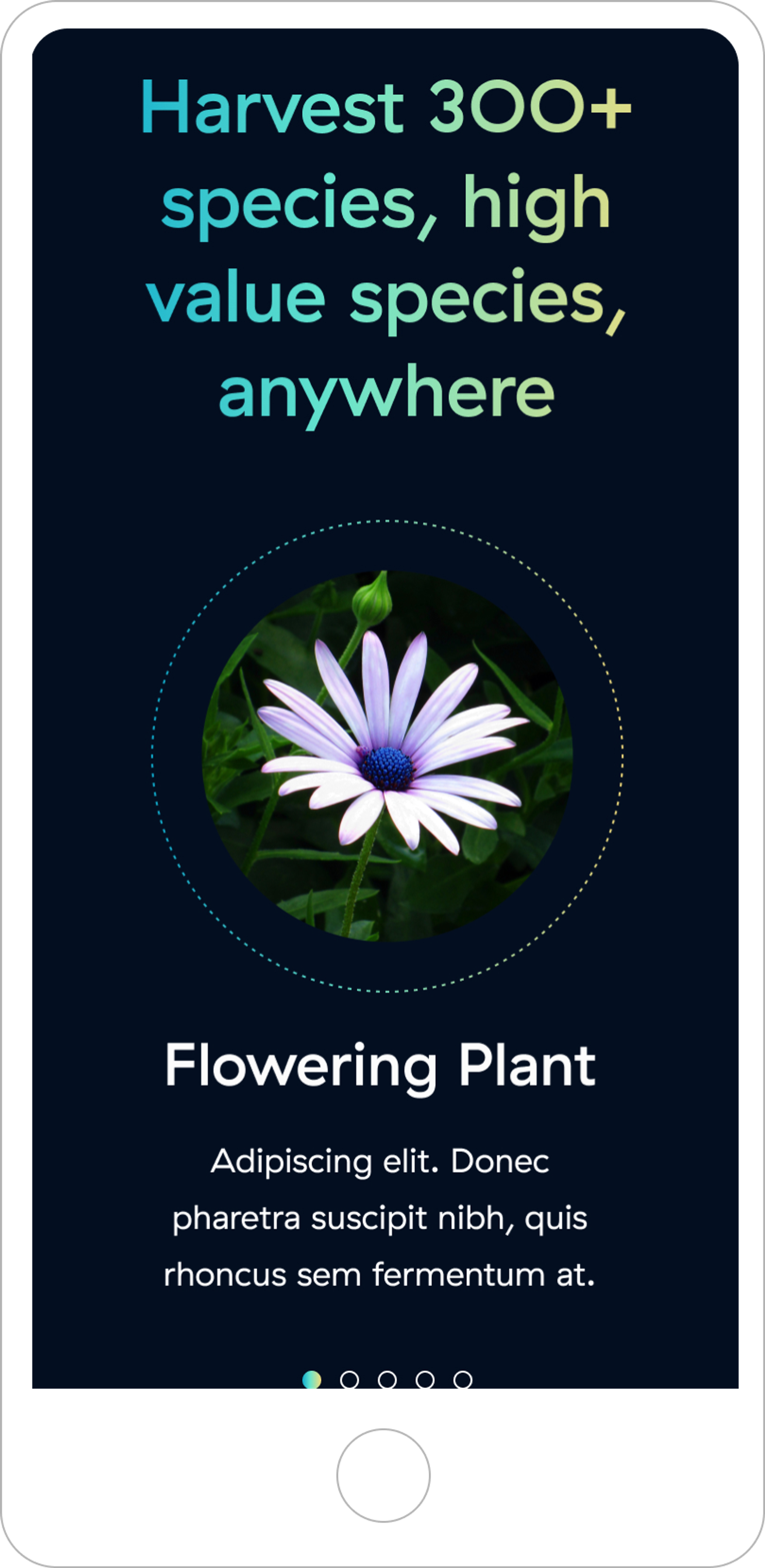 InterstellarLab mobile section key figures