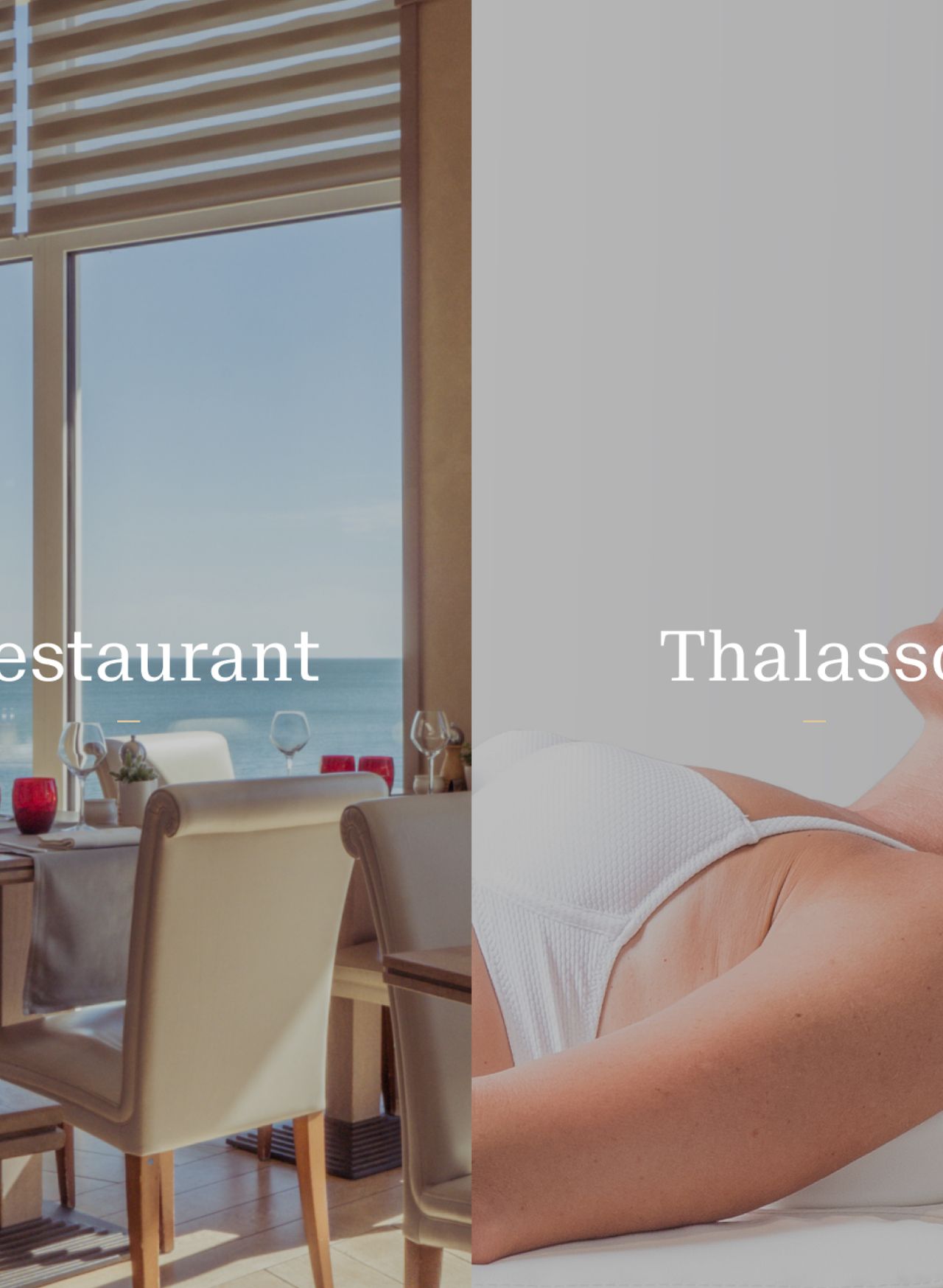 Alliance Pornic image fullscreen site e-commerce desktop entrées