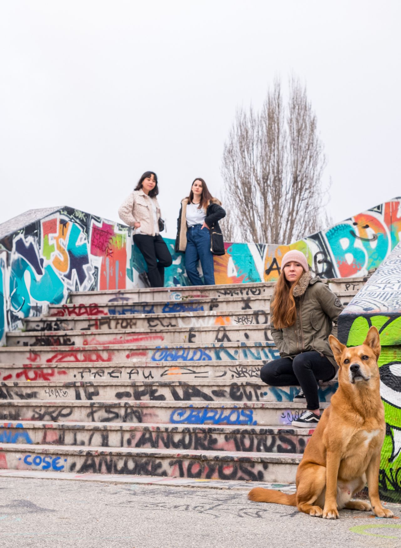 Team akaru agence web à Lyon