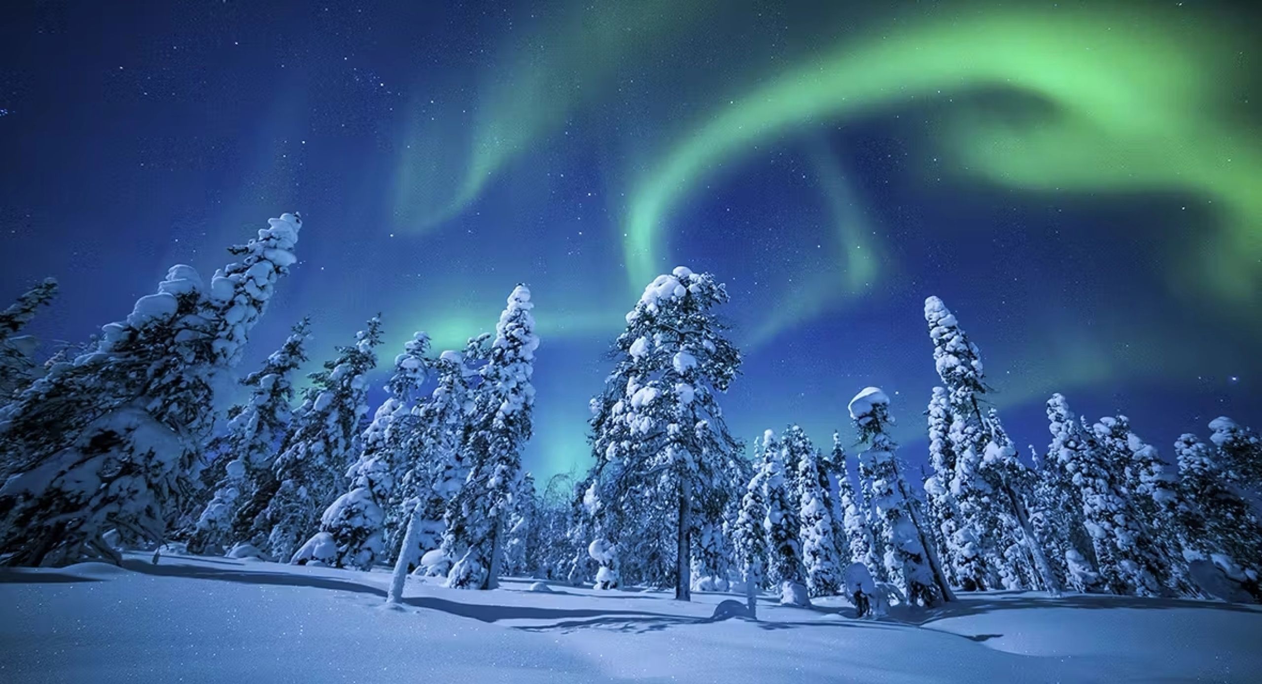 66° NORTH cover image