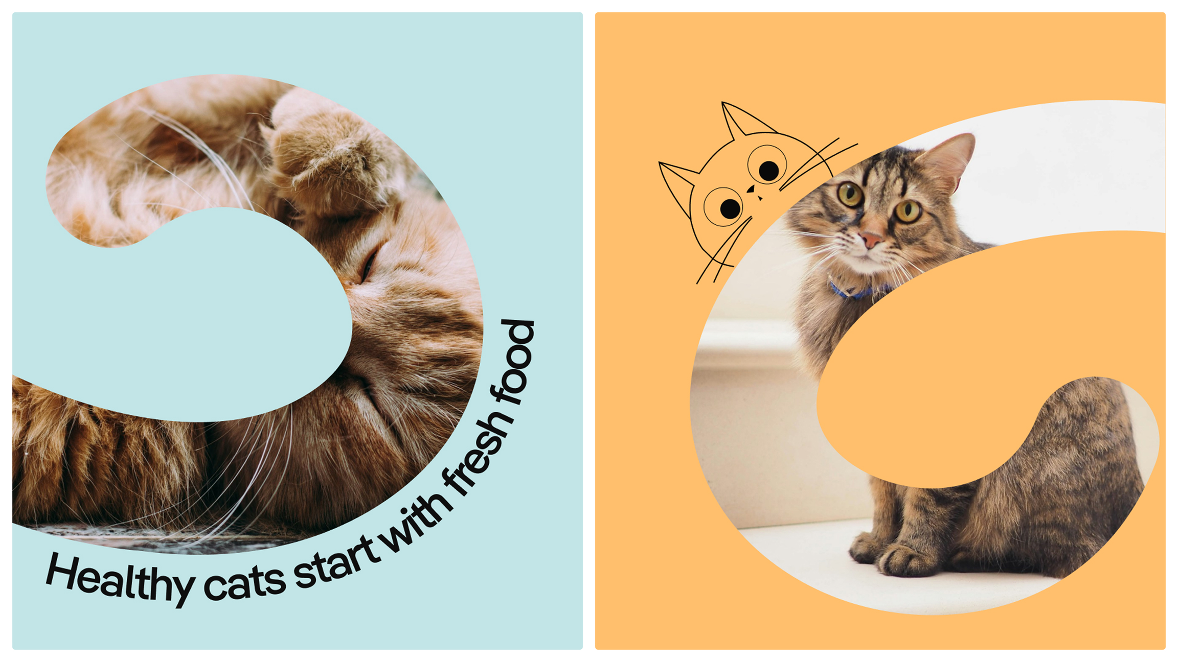 branding Pikko