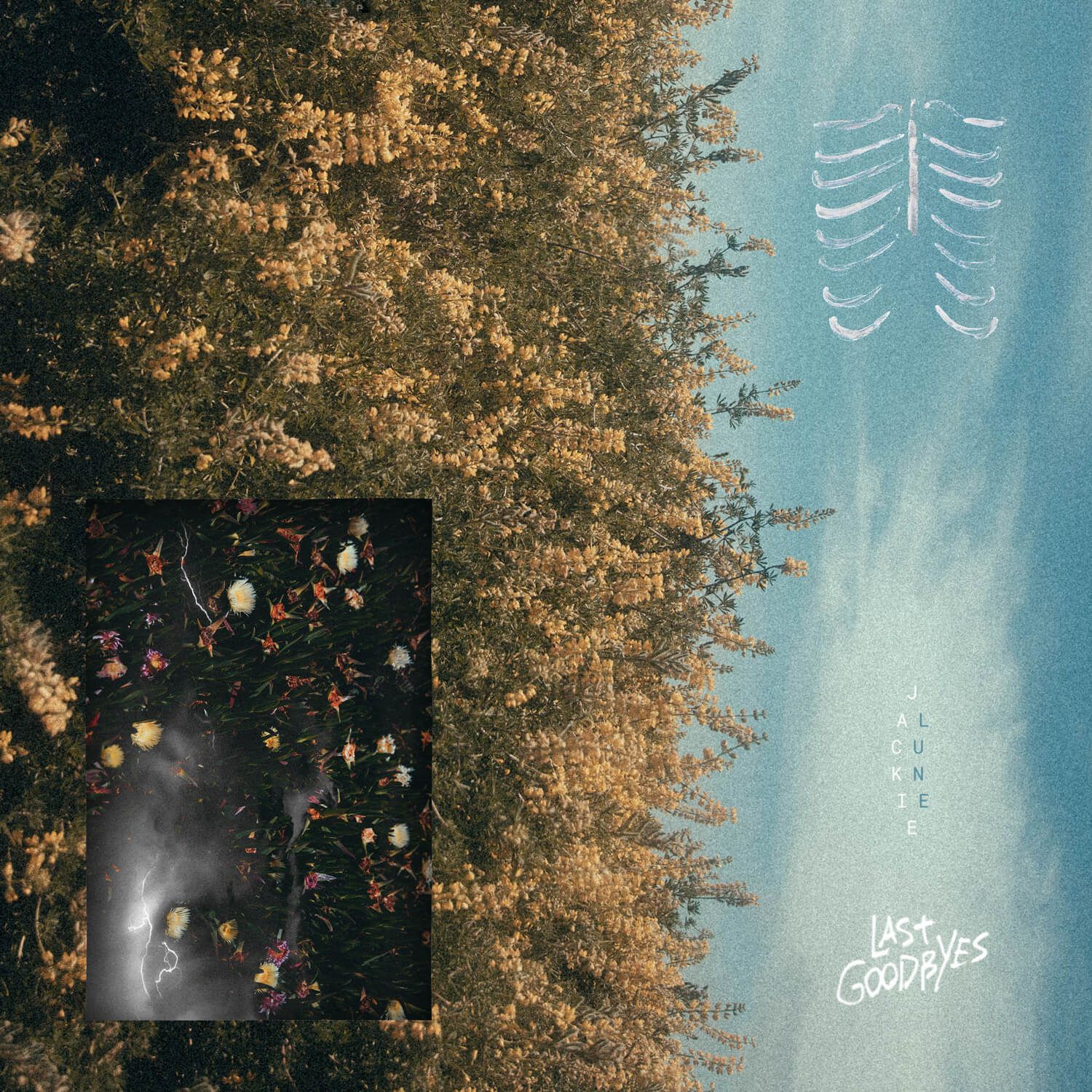 Image for Last Goodbyes • Jackie Lune feat. Brolly