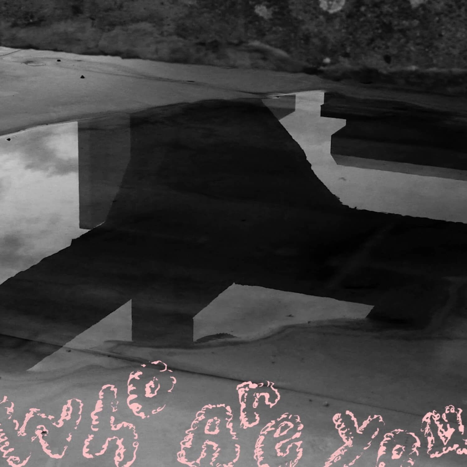 Image for Who Are You?