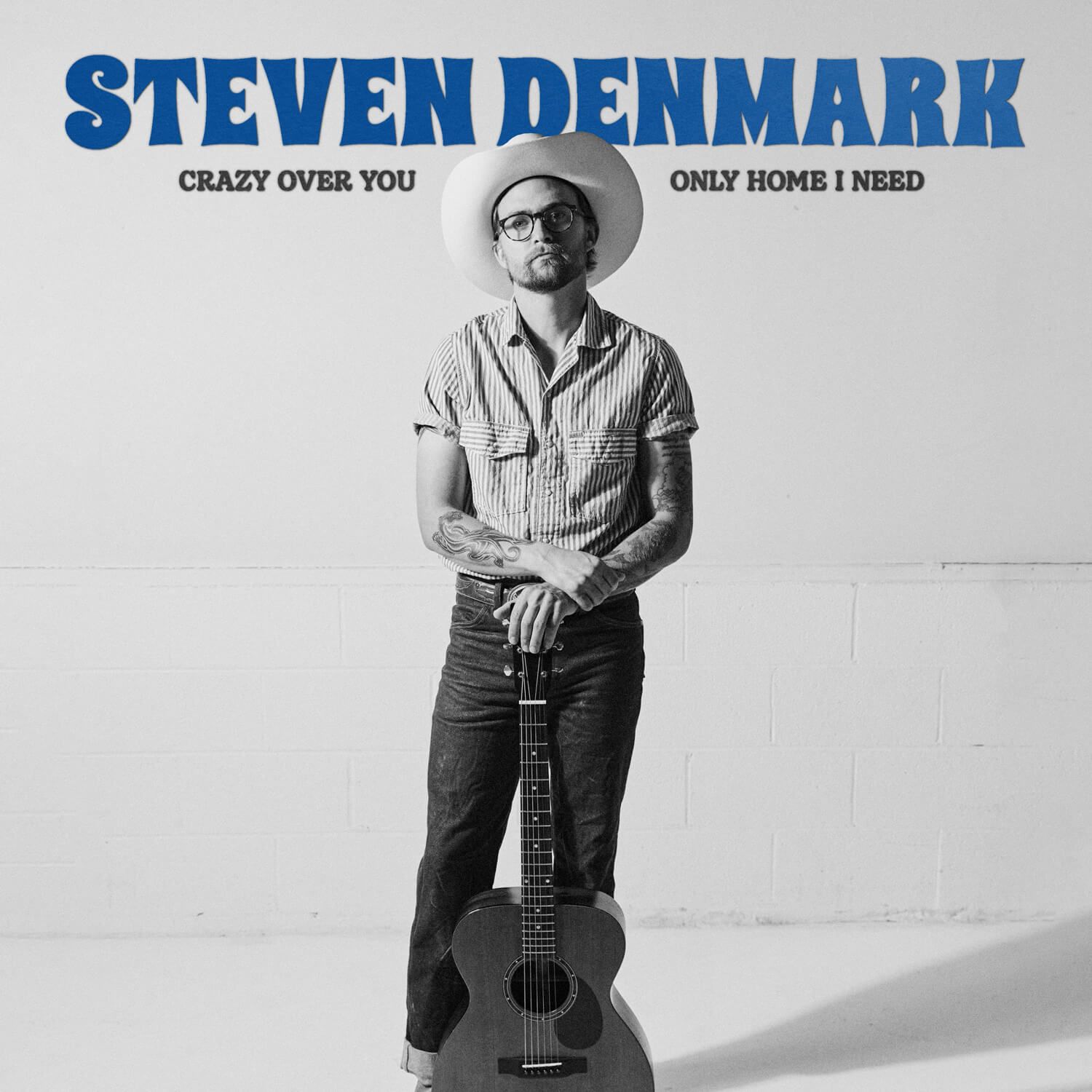 Image for Double Single • Steven Denmark