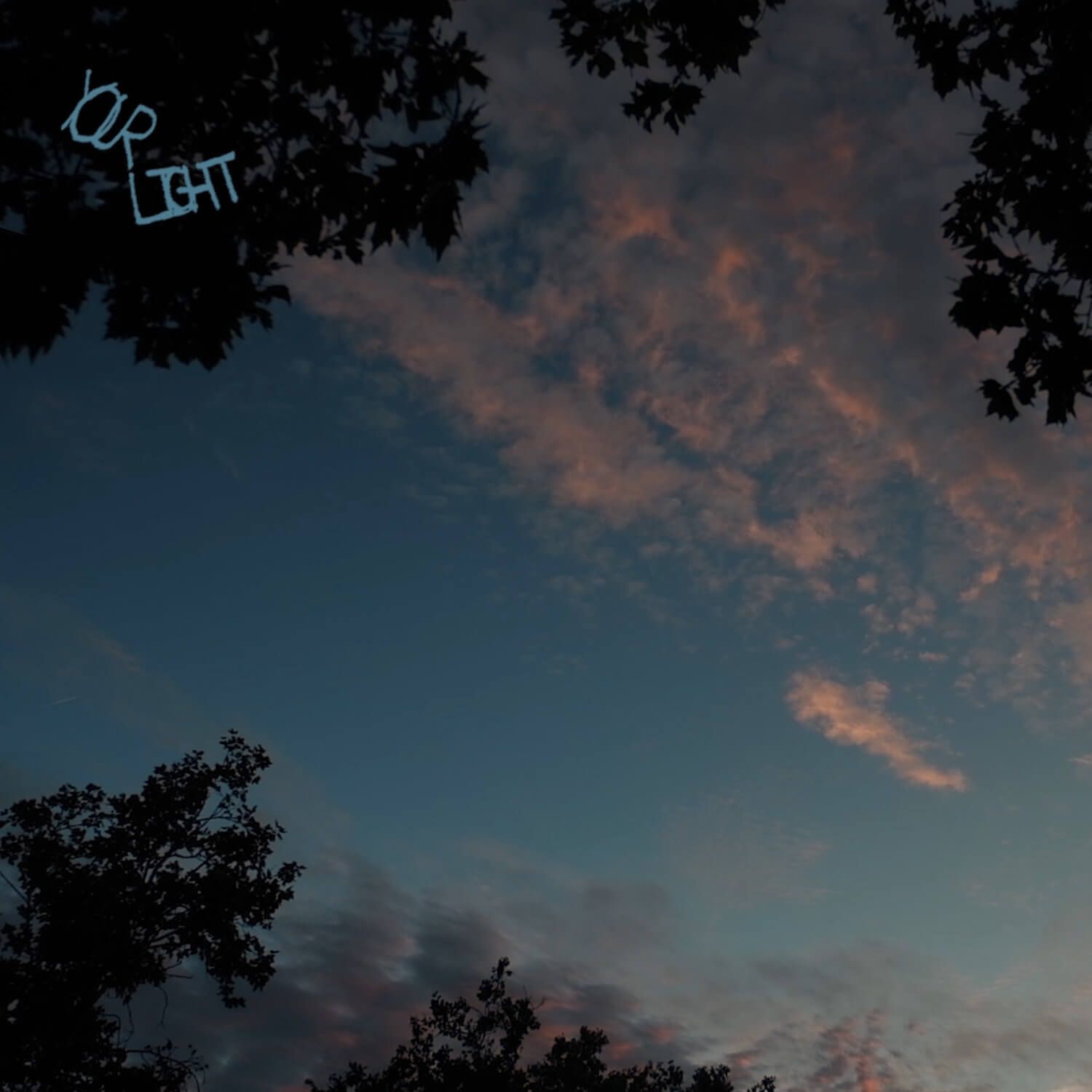 Image for Your Light