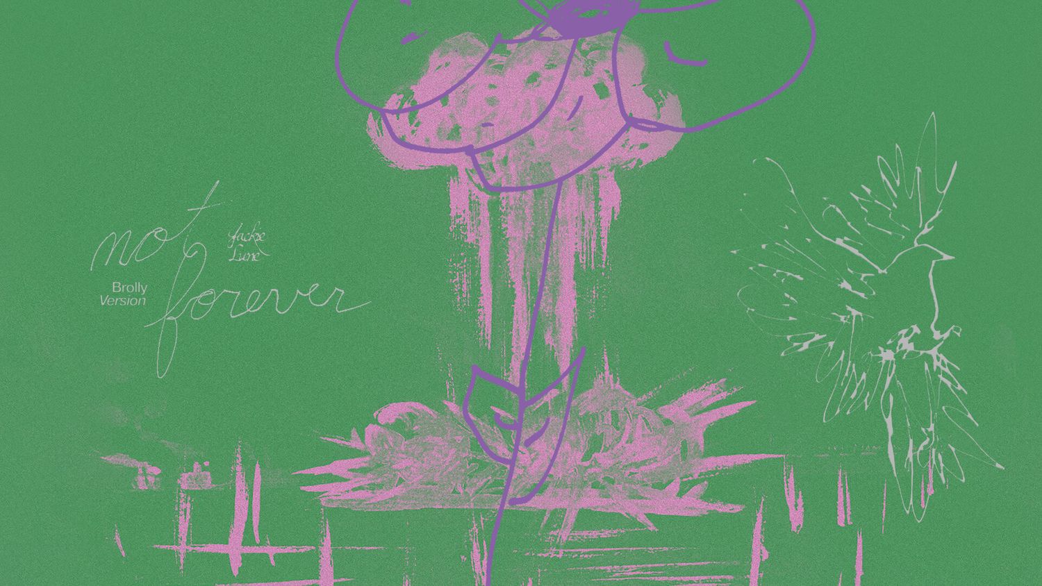 Image for Not Forever (Brolly Version) - Lyric Video