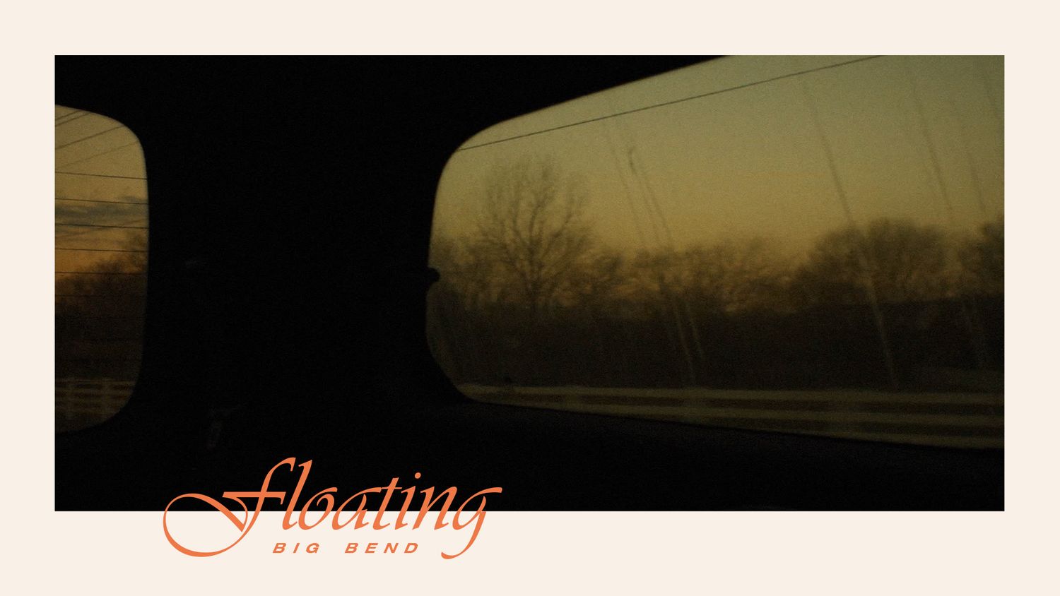 Image for Barking Lizard