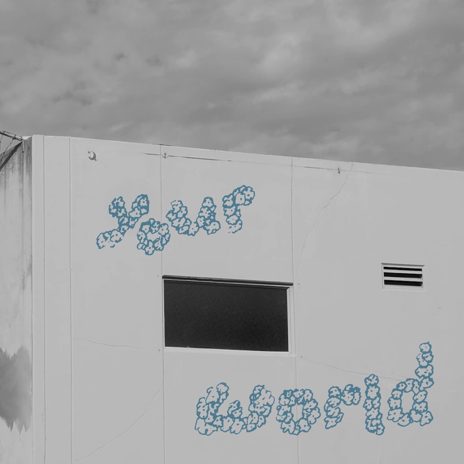 Image for Your World