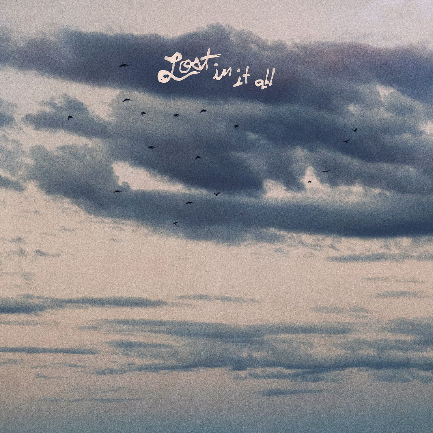 Image for Lost In It All