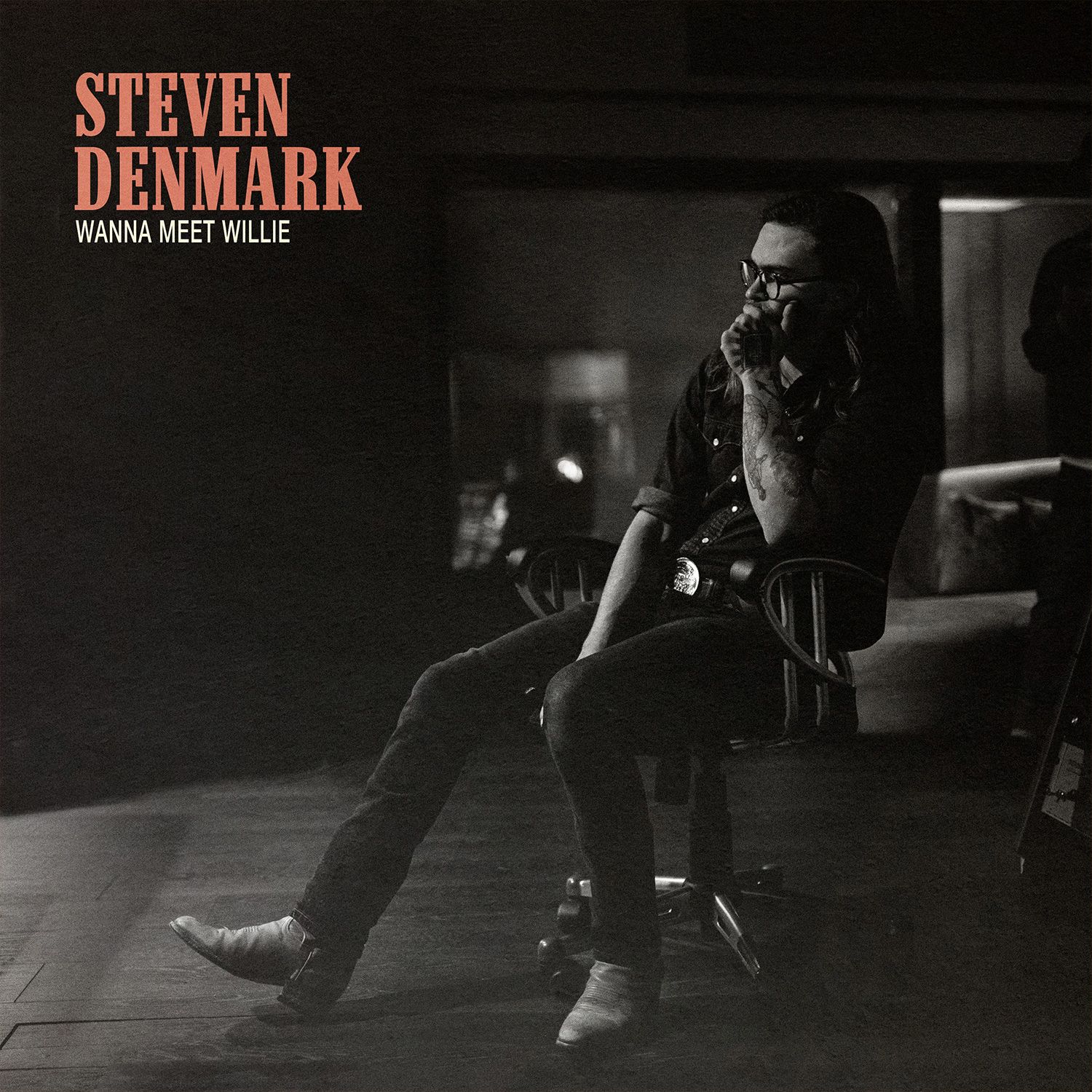 Image for Wanna Meet Willie • Steven Denmark