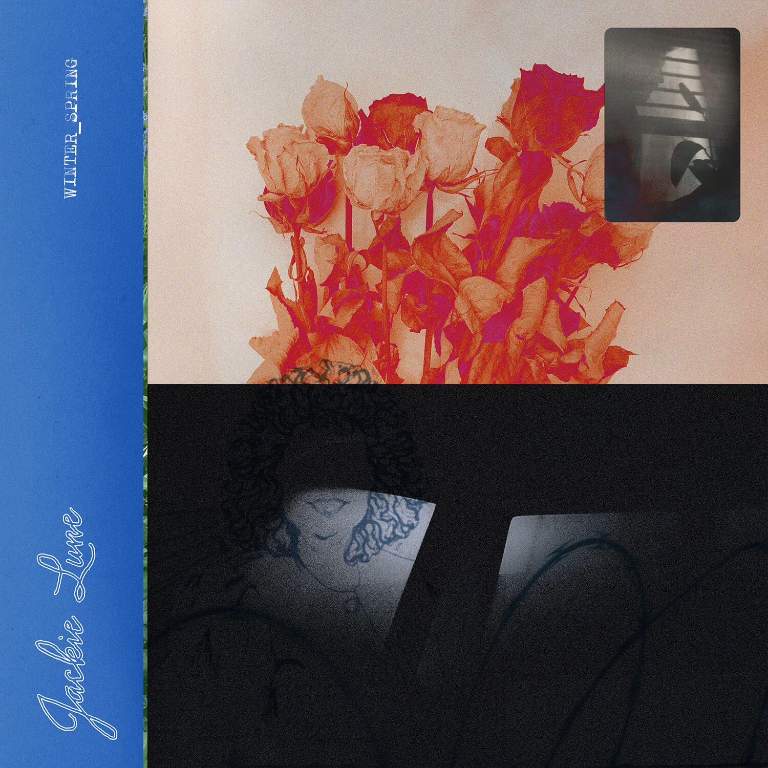 Image for Winter_Spring