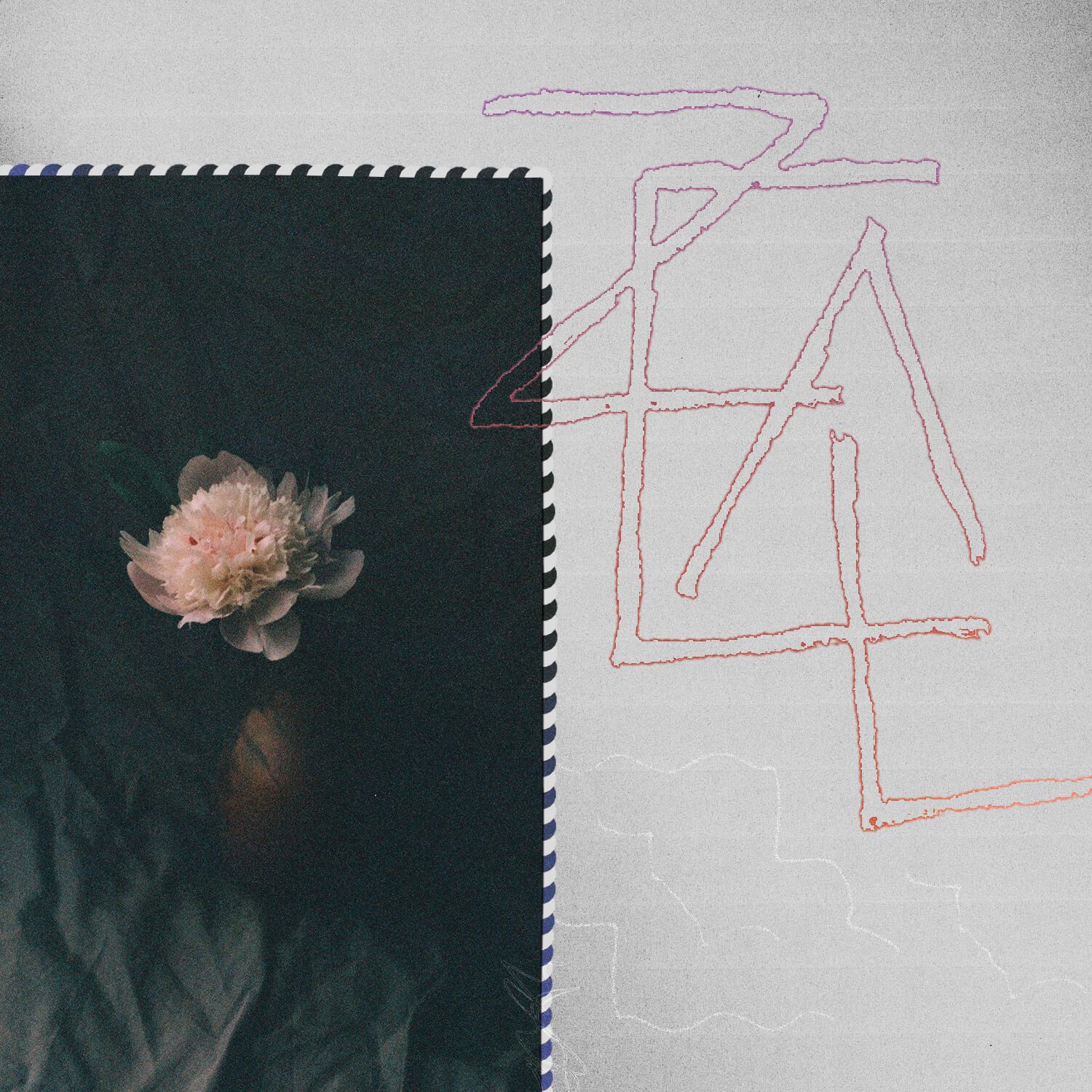 Image for Zeal Church Rebrand