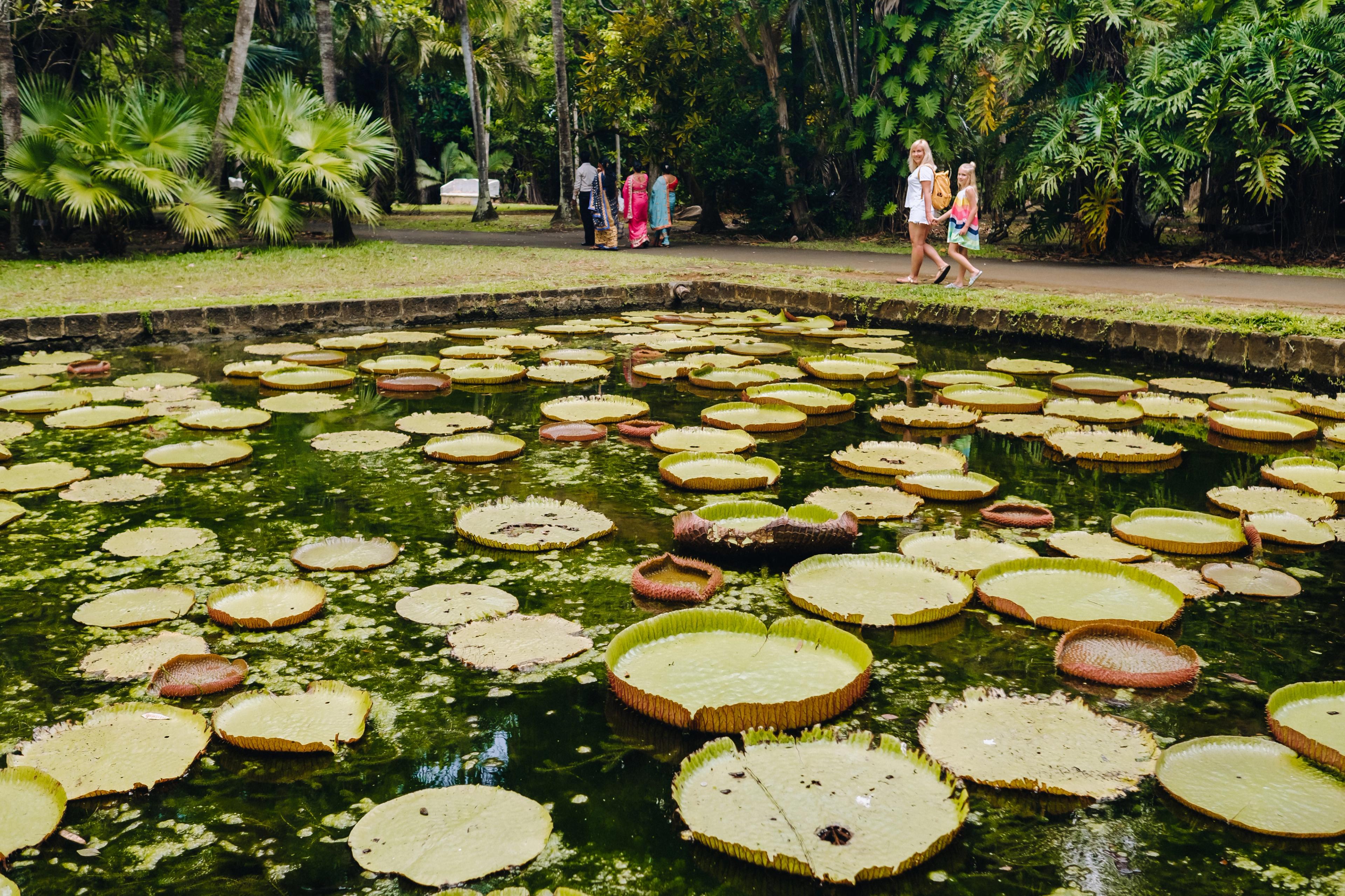 Botanical Gardens & Port Louis Culture