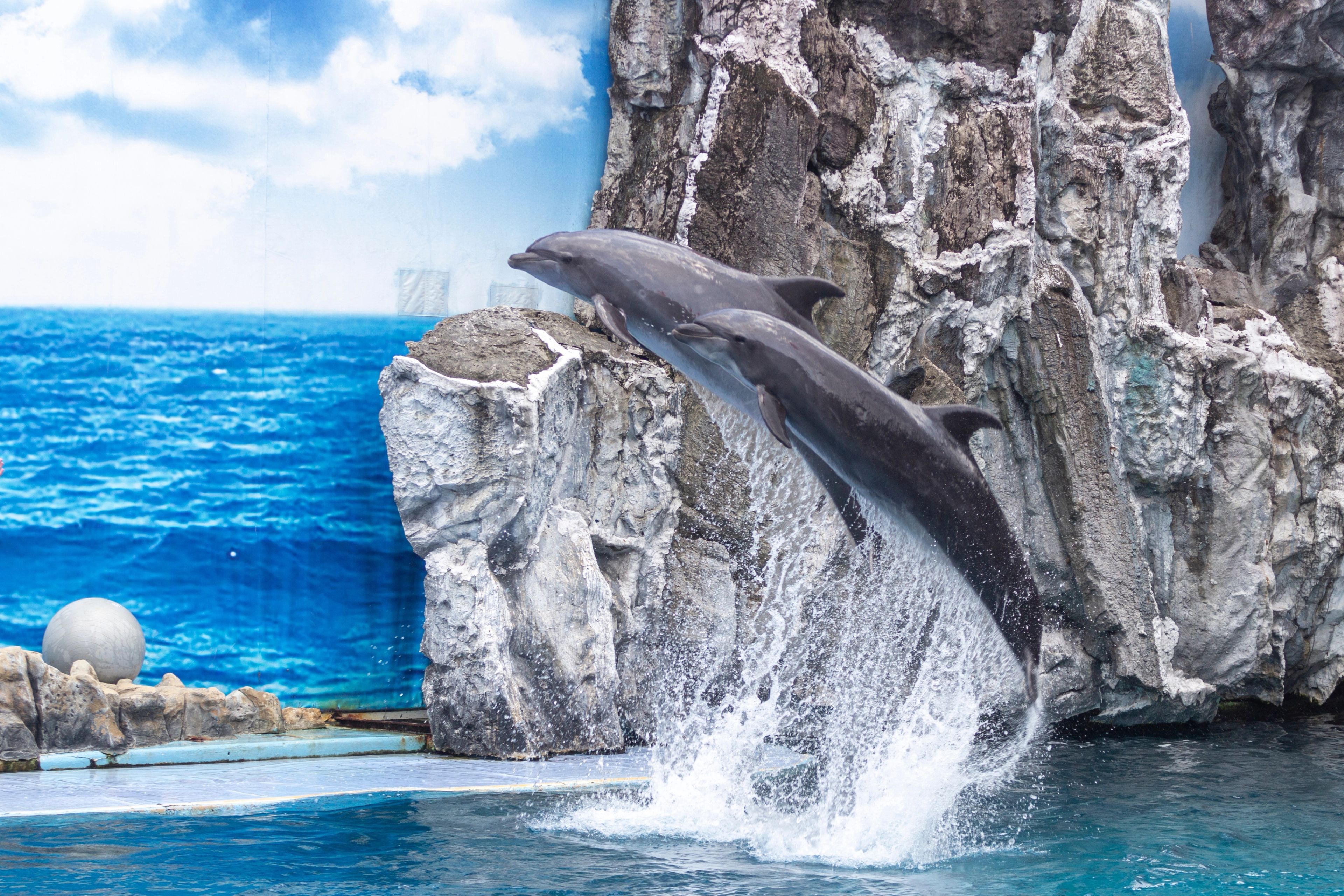 Day 2: Safari World & Marine Park — photo 1
