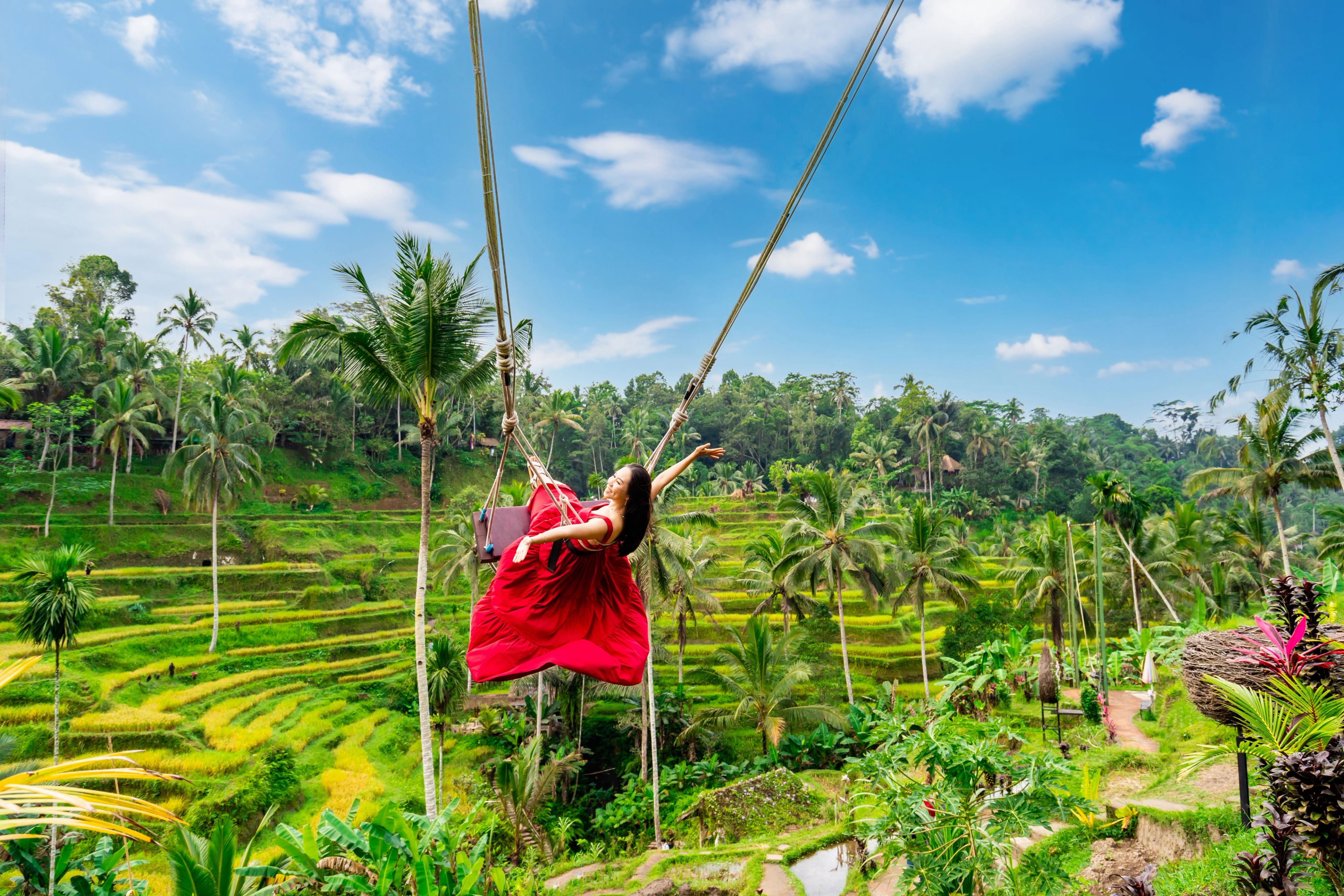 Kintamani Volcano Tour, Coffee Plantation & Bali Swing — photo 3