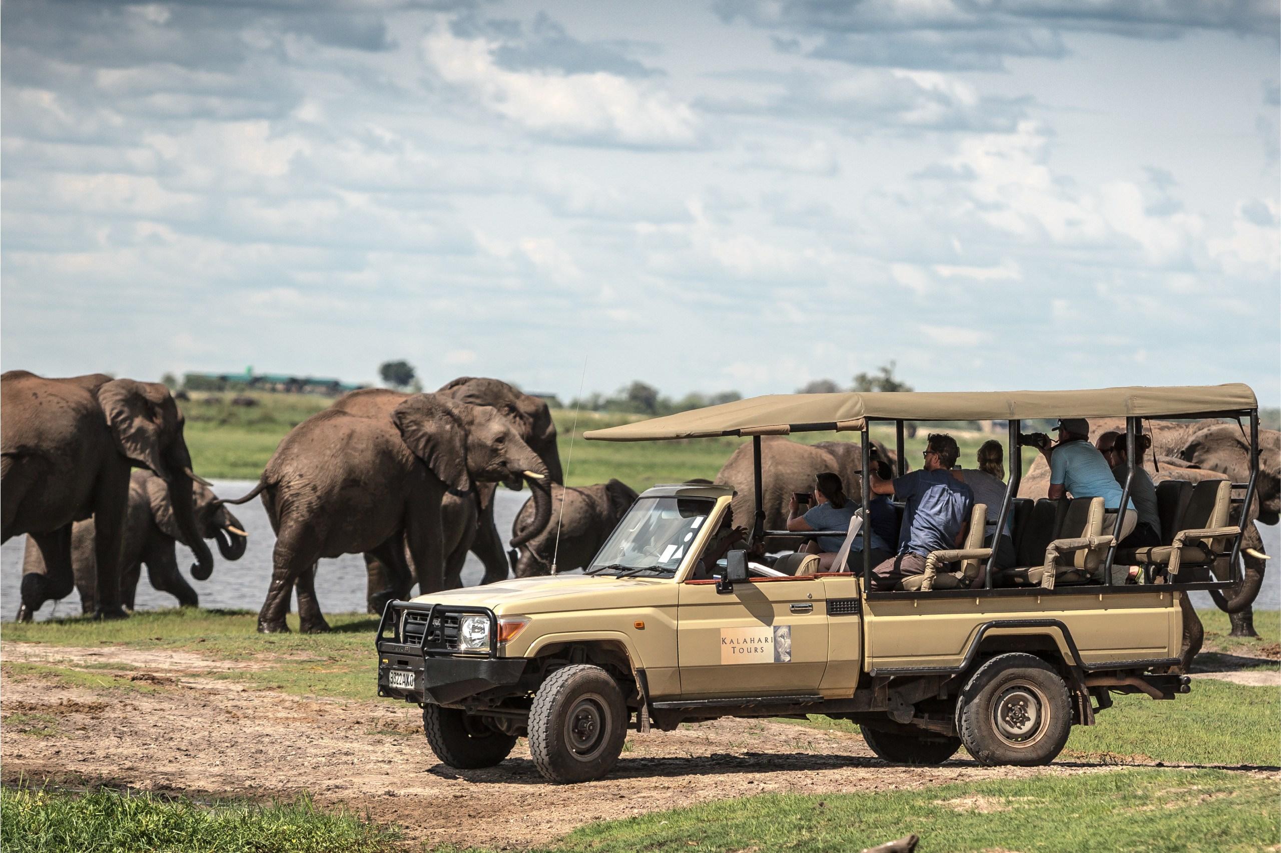 Chobe National Park Safari & Chobe River Cruise