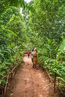 Spice Farm & Beach Leisure — photo 1