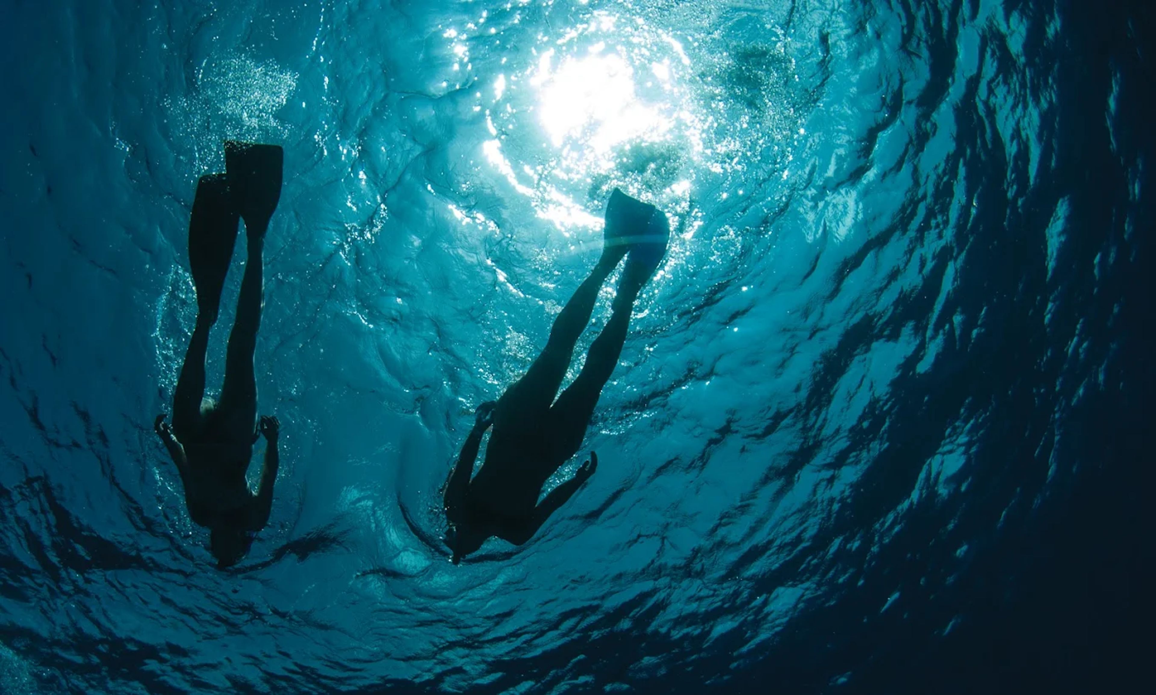 Ocean Adventures & Coral Wonders — photo 3