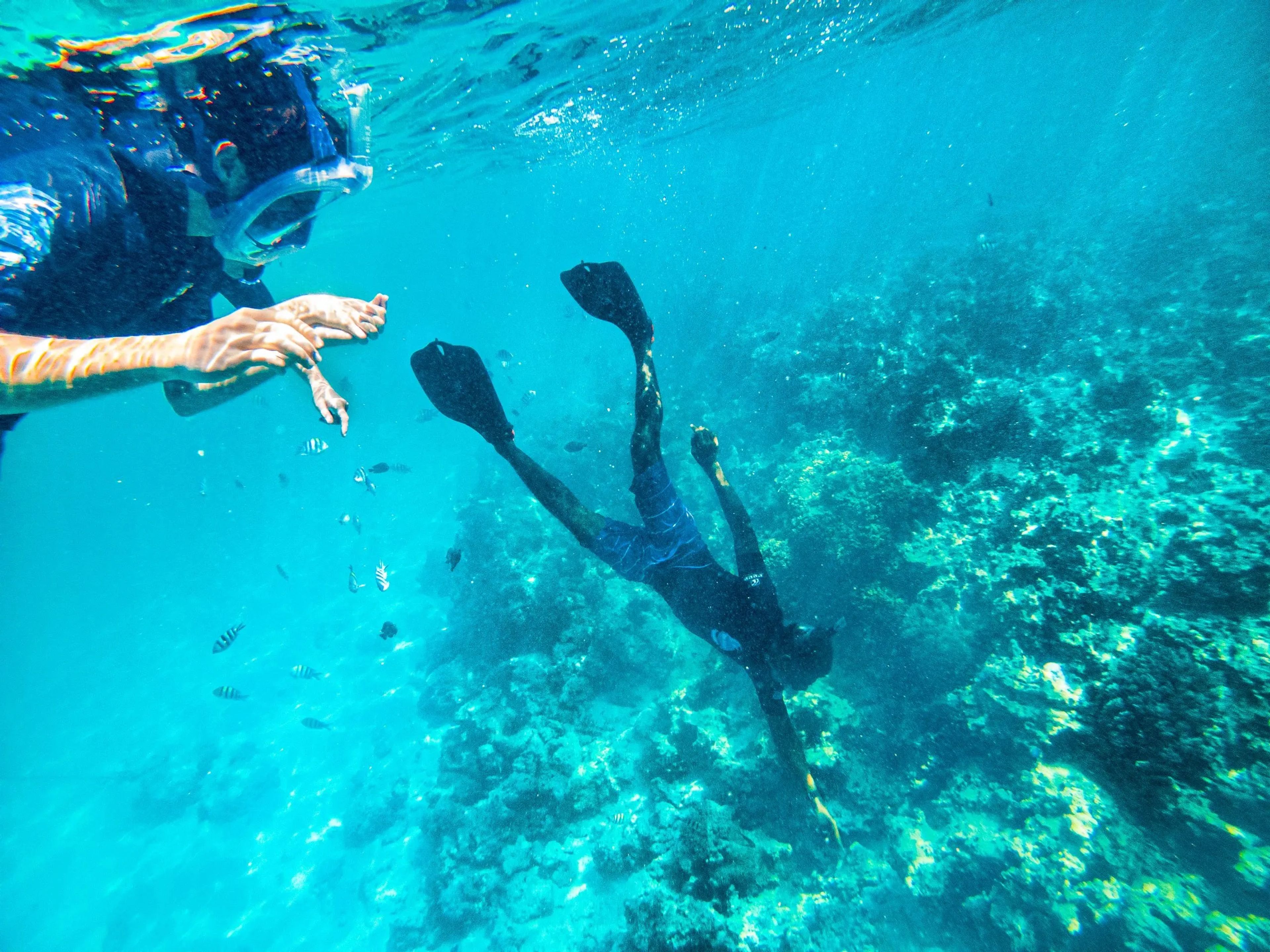 Mnemba Island Snorkeling — photo 1