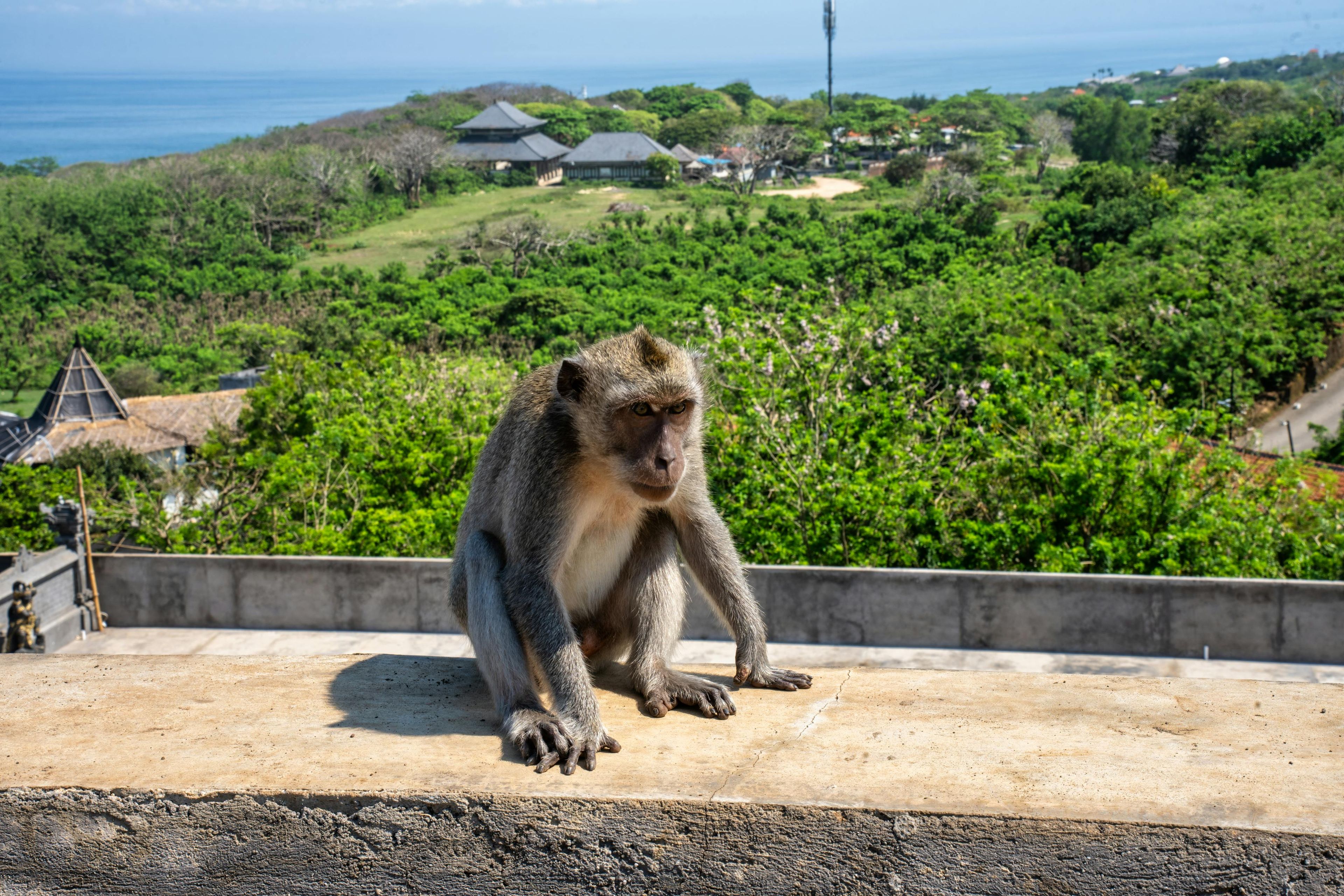 Day 6: Ubud Water Sports & Uluwatu Temple  — photo 6