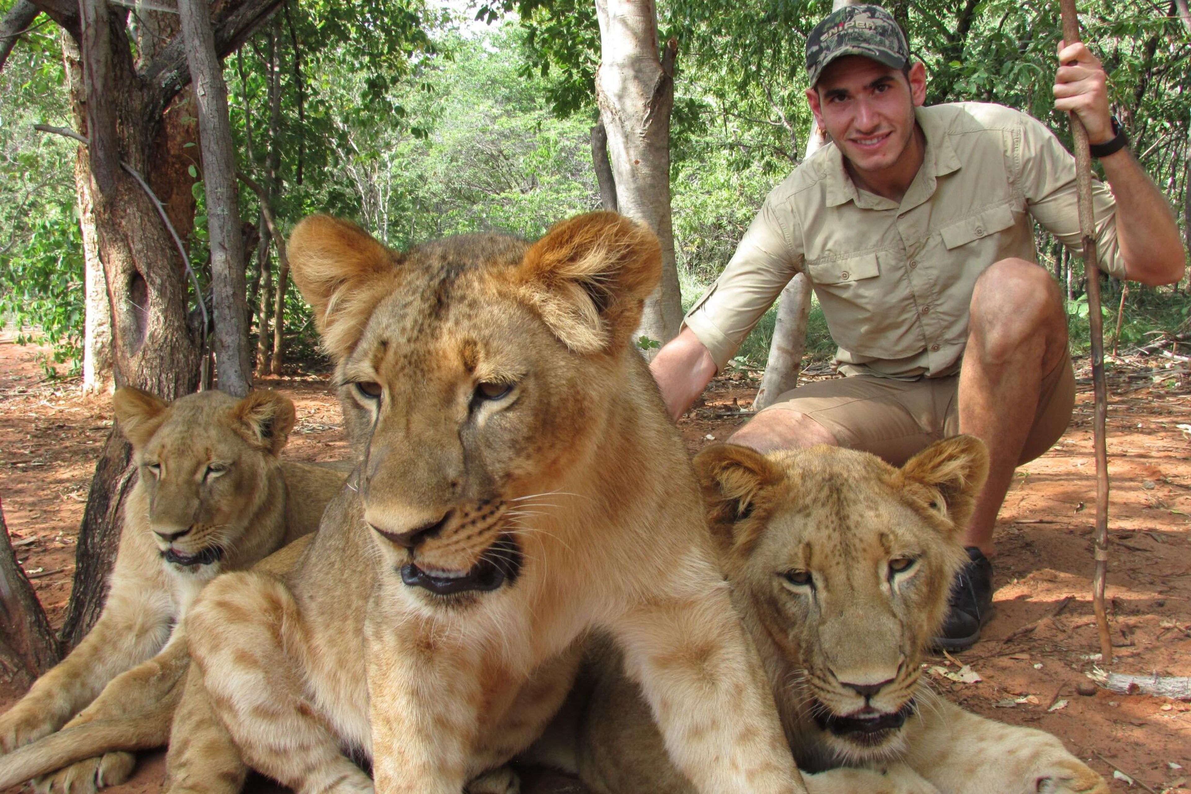 Lion Walk Experience & Zambezi River Sunset Cruise — photo 2