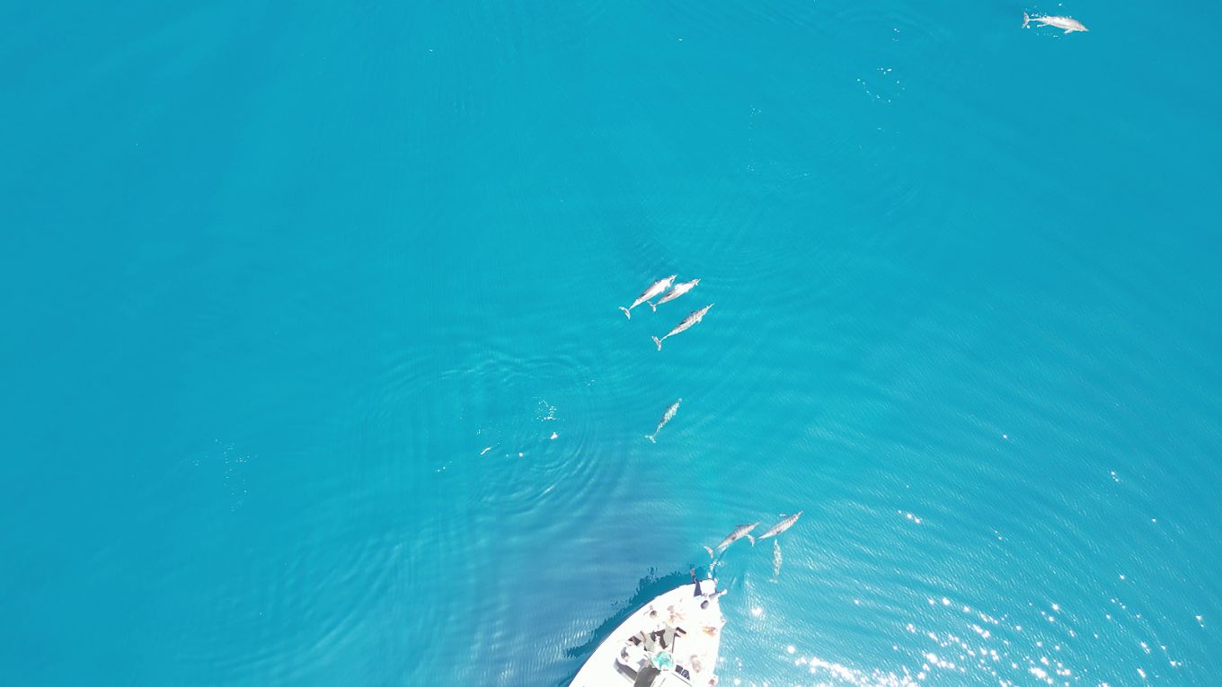 Ocean Adventures & Coral Wonders — photo 2