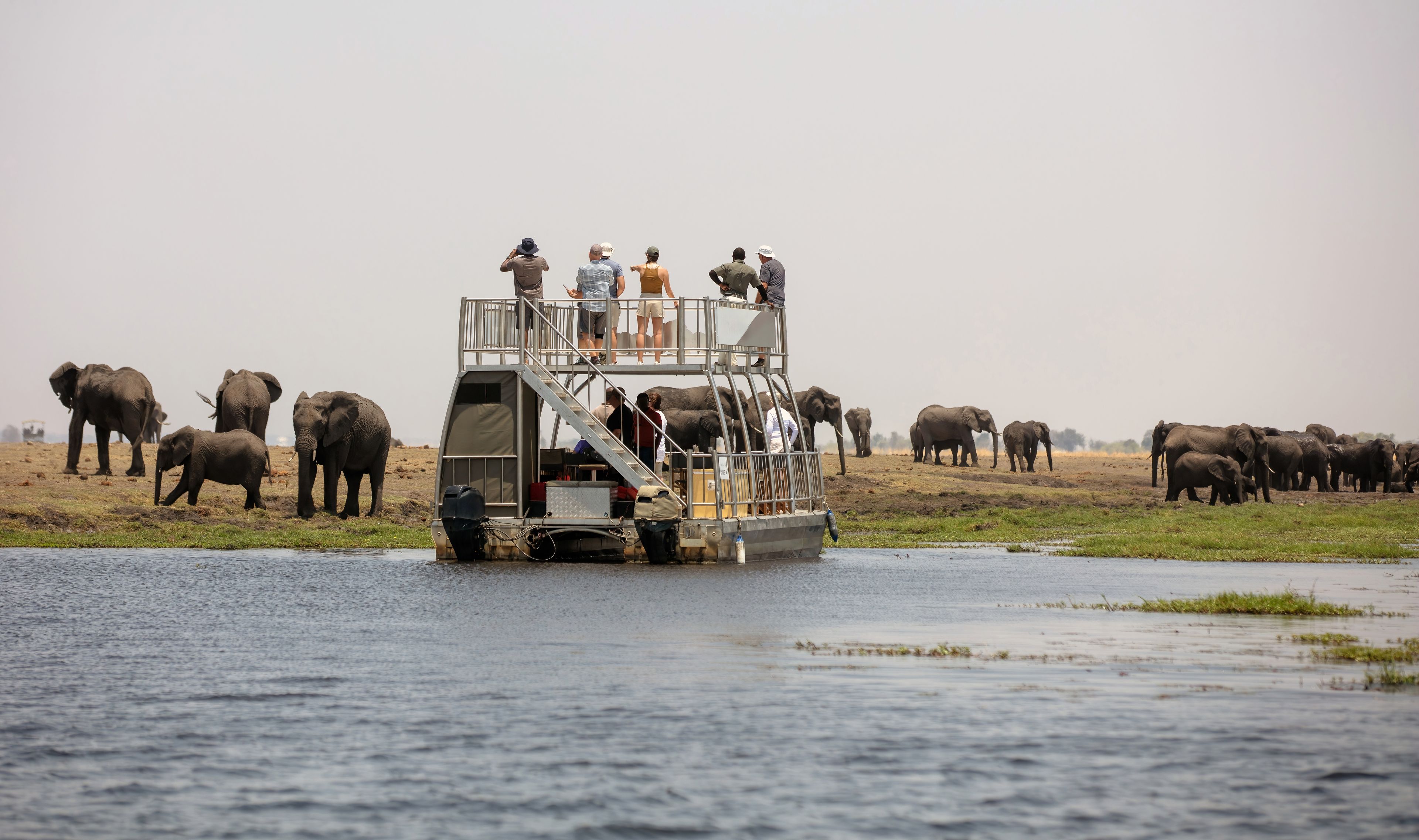 Chobe National Park Full-Day Safari (Botswana) — photo 3