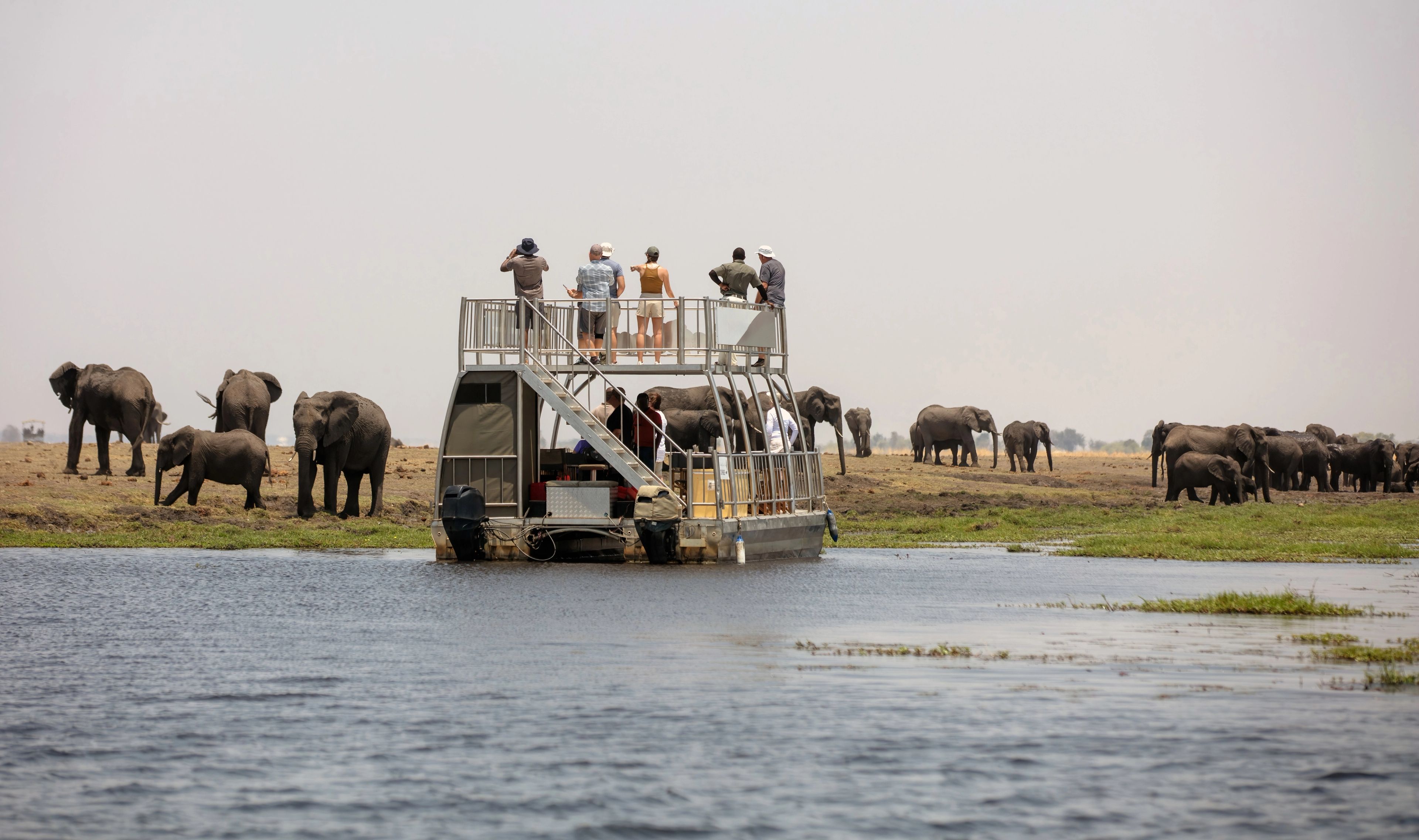 Chobe National Park Full-Day Safari (Botswana) — photo 3