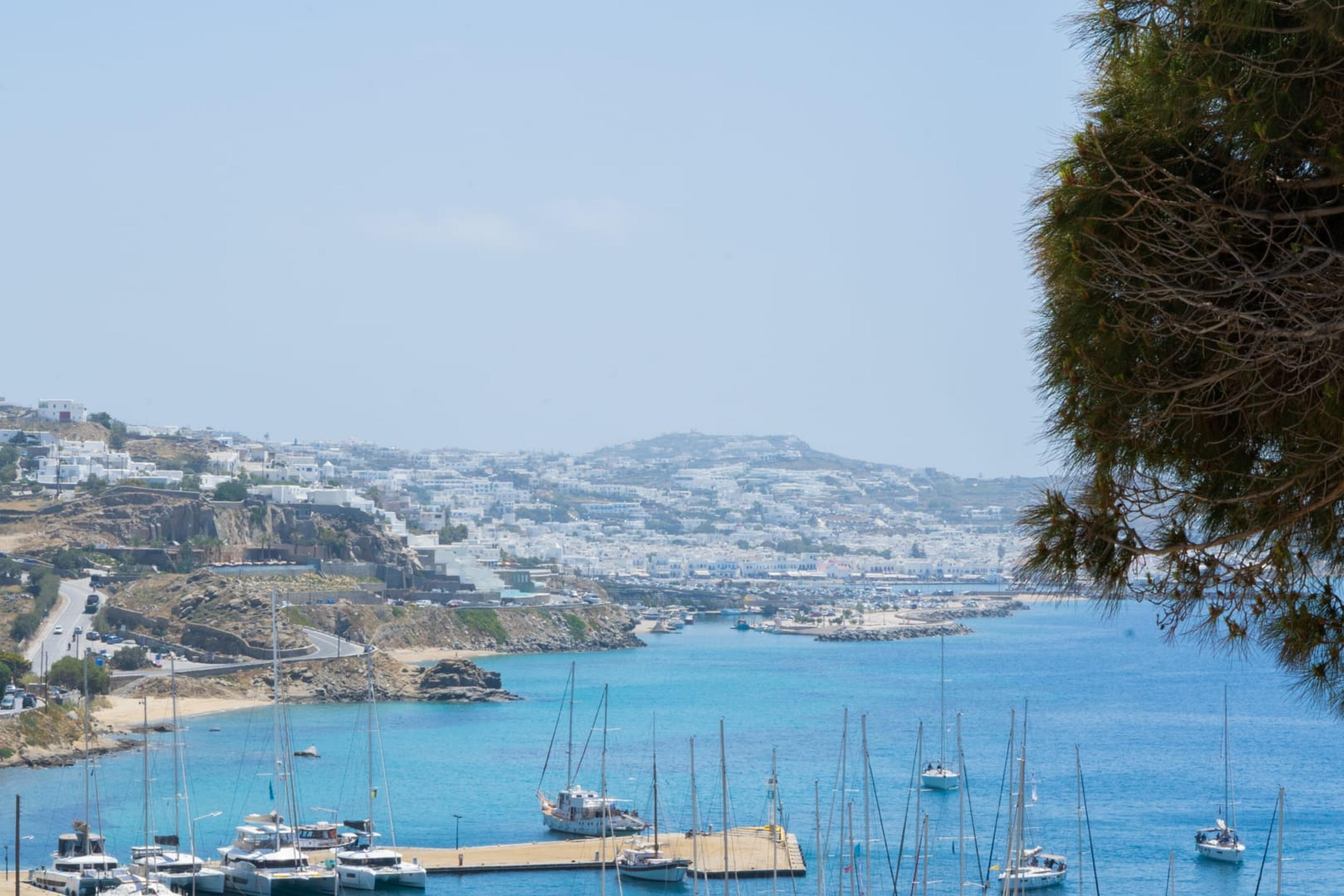 Image for Rhenia mykonos